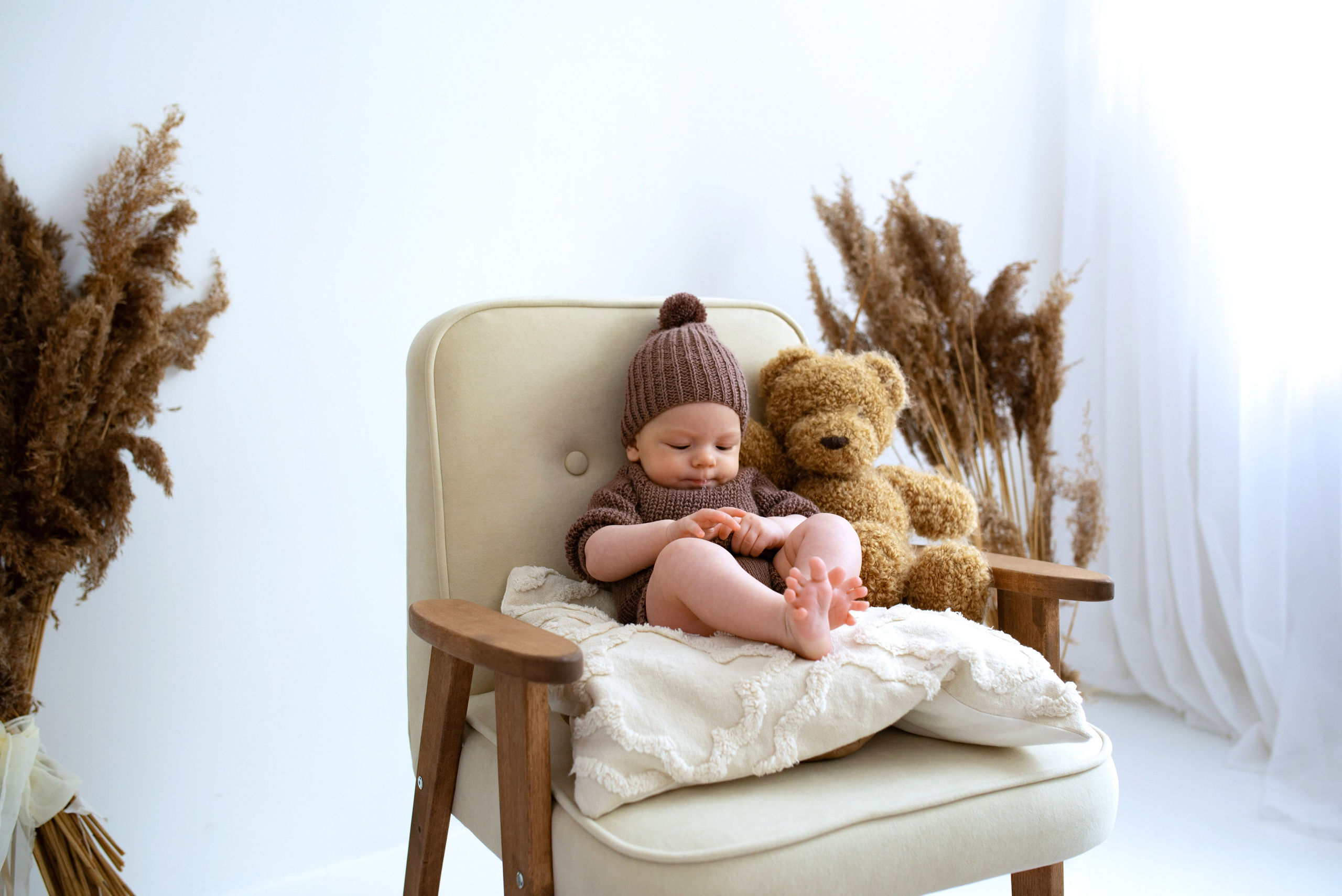 Лев (3 месяца)