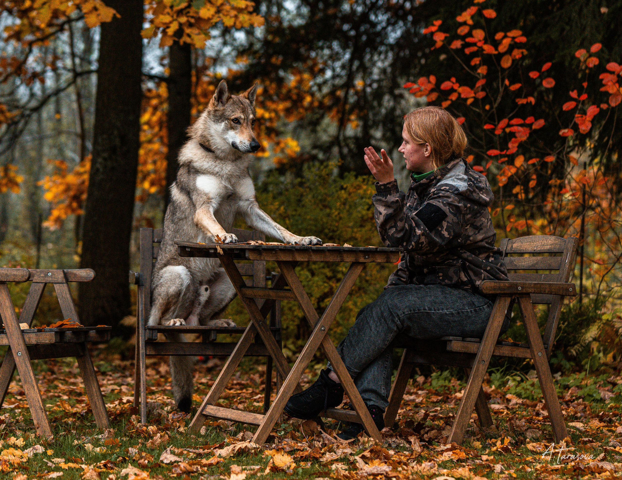 ФОТОПАМЯТЬ ВАШИХ ЭМОЦИЙ. Фотограф-анималист, семейный фотограф в Москве и Подмосковье. Фотосъёмка кинологических дисциплин