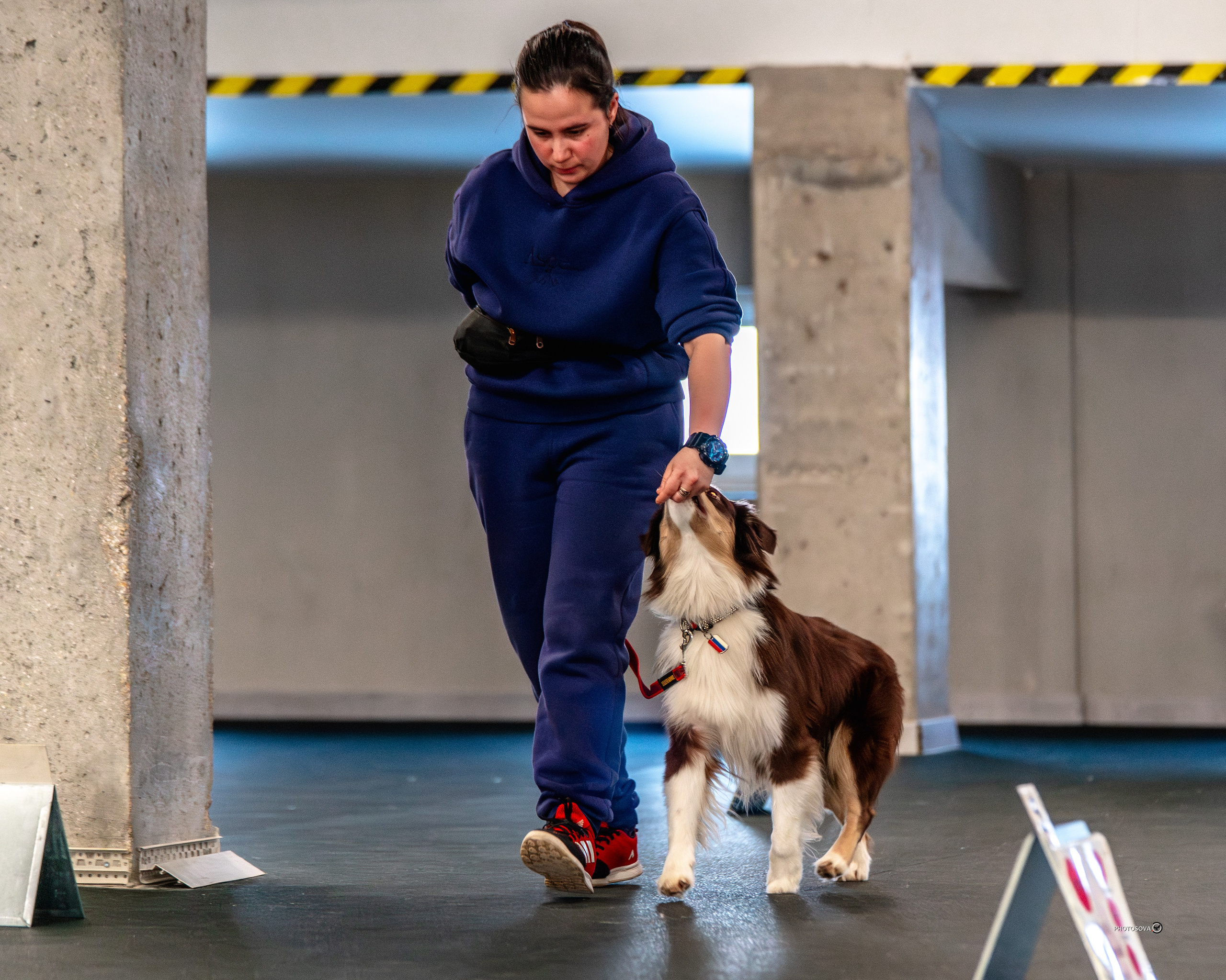 ТЫ И Я (соревнования по ралли-обидиенс). Фотограф-анималист, семейный фотограф в Москве и Подмосковье. Фотосъёмка кинологических дисциплин