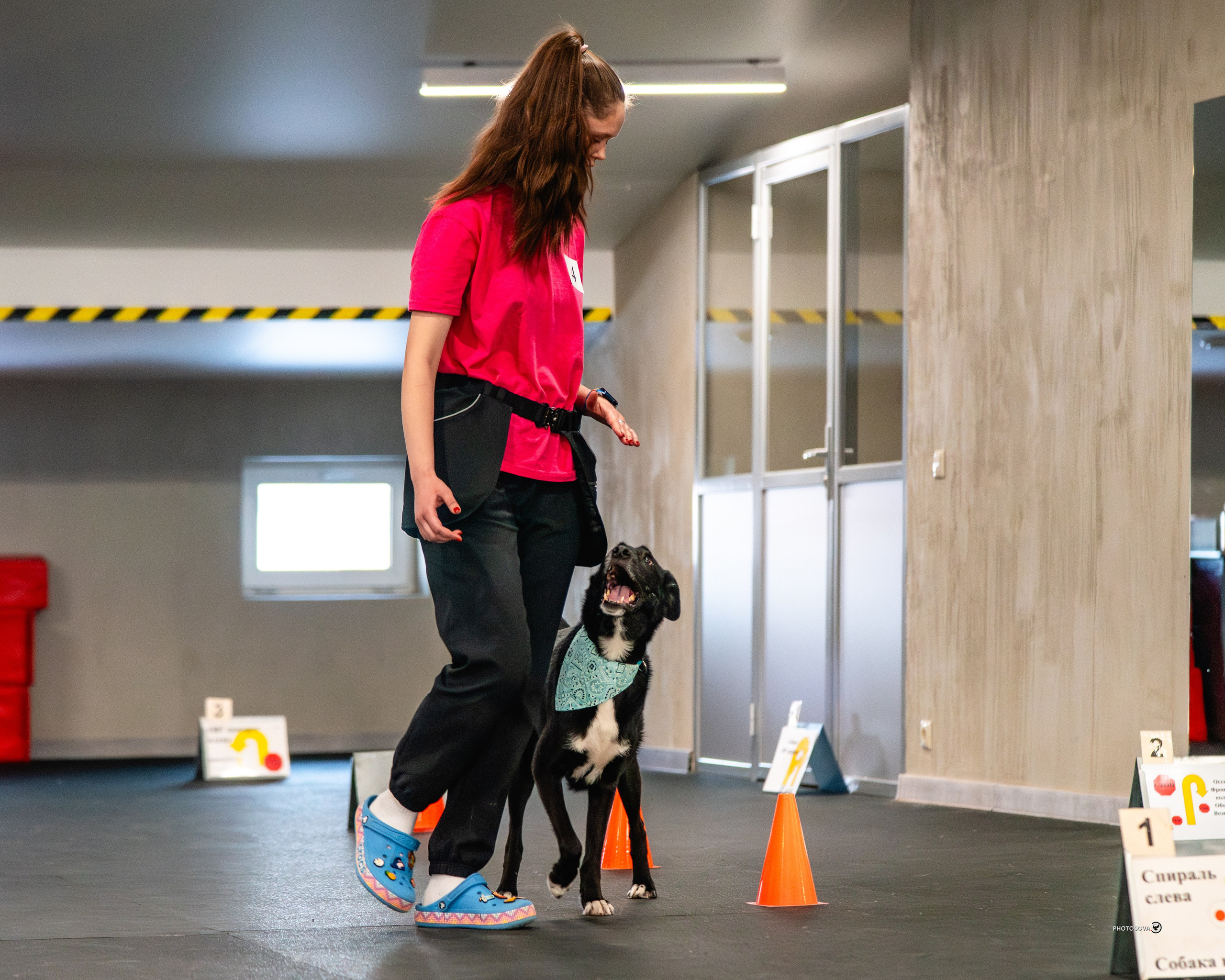 ТЫ И Я (соревнования по ралли-обидиенс). Фотограф-анималист, семейный фотограф в Москве и Подмосковье. Фотосъёмка кинологических дисциплин