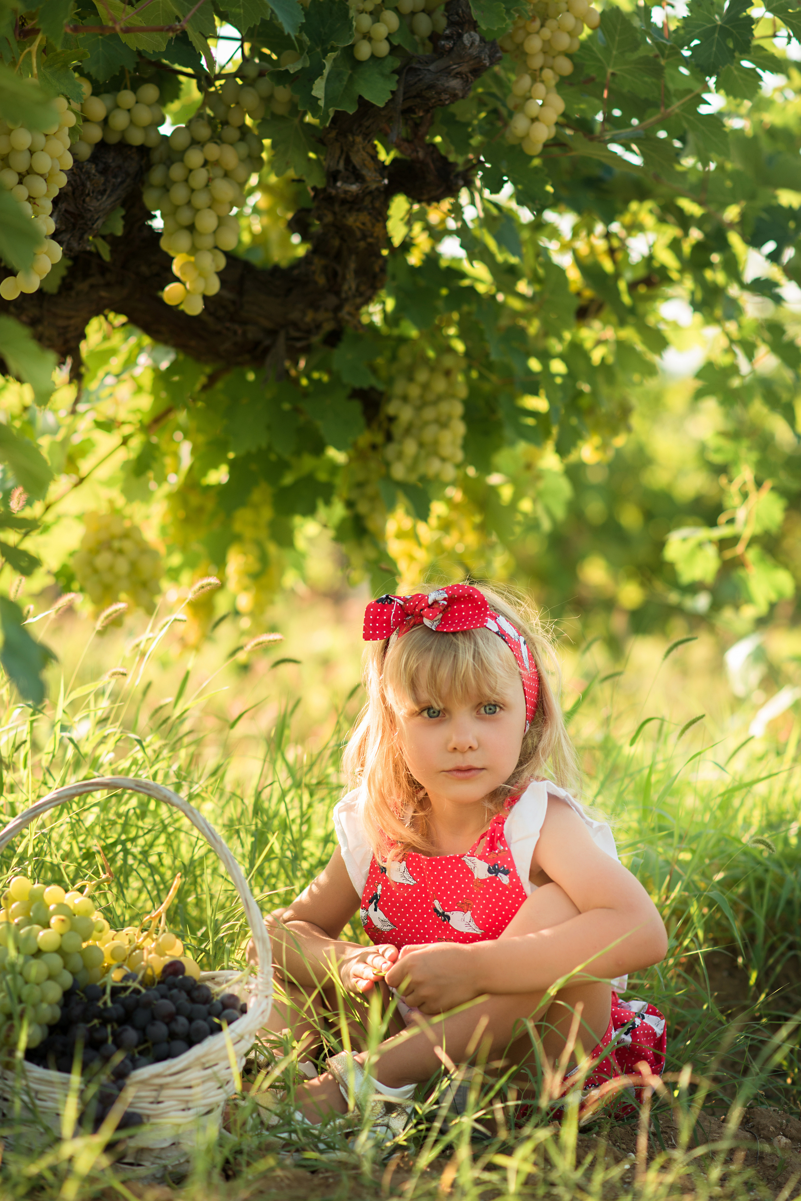 Фотосессия. Детский фотограф Севастополь, Крым. Фотограф Севастополь, Крым. Детский и семейный фотограф в Севастополе