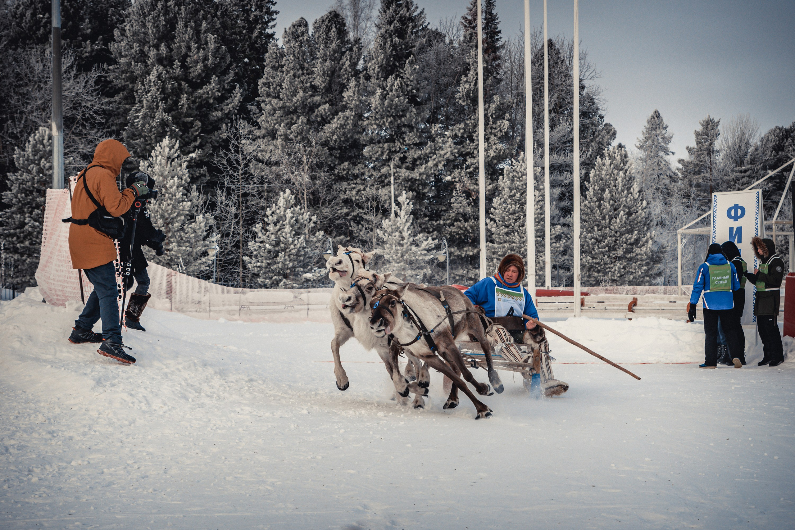 Конкурс оленеводов. Фотограф в Ханты-Мансийске Евгений Жуланов