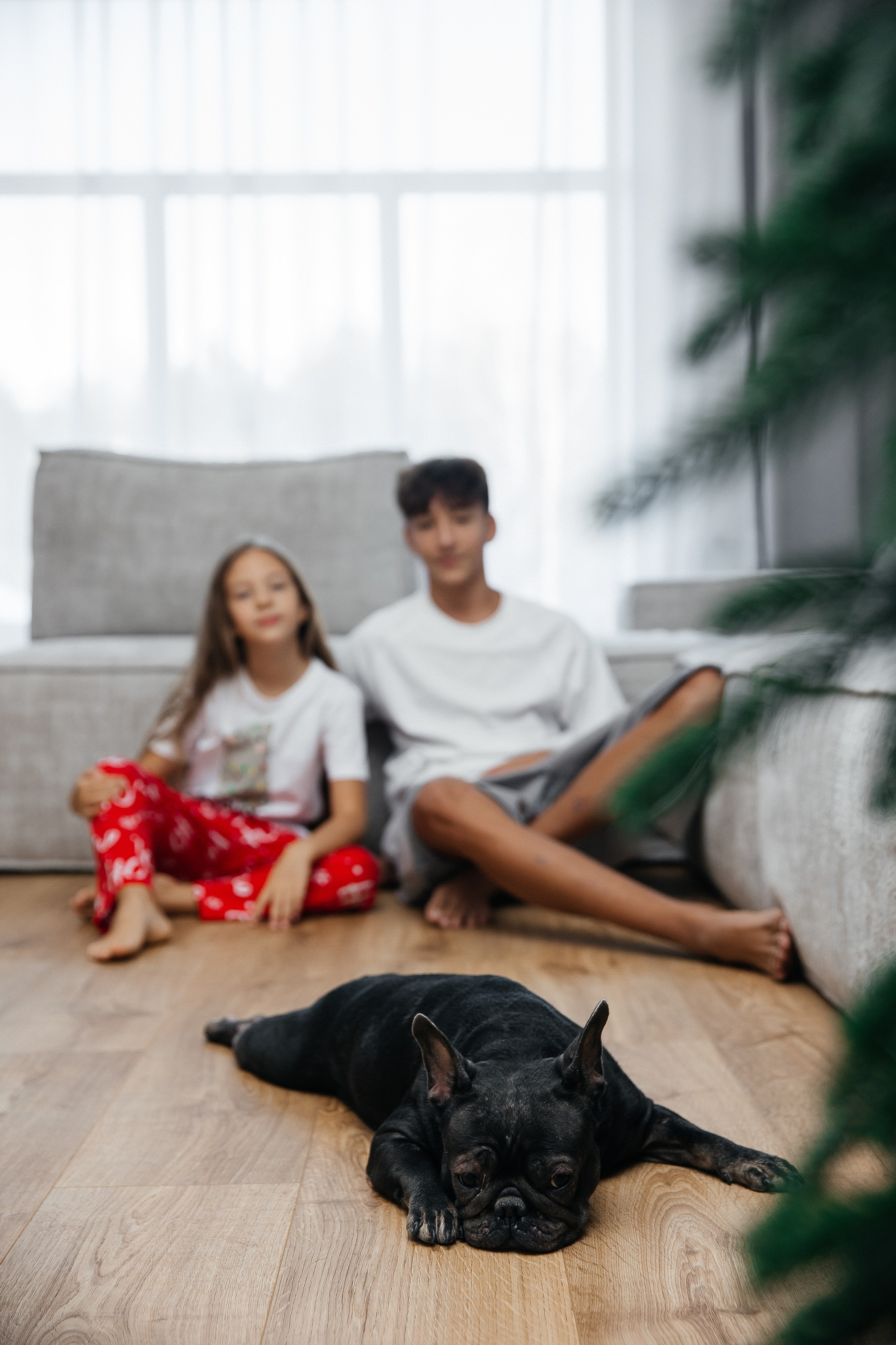 Семейные/ love story. Репортжный и Семейный Фотограф Екатеринбург, Любовь Агалакова