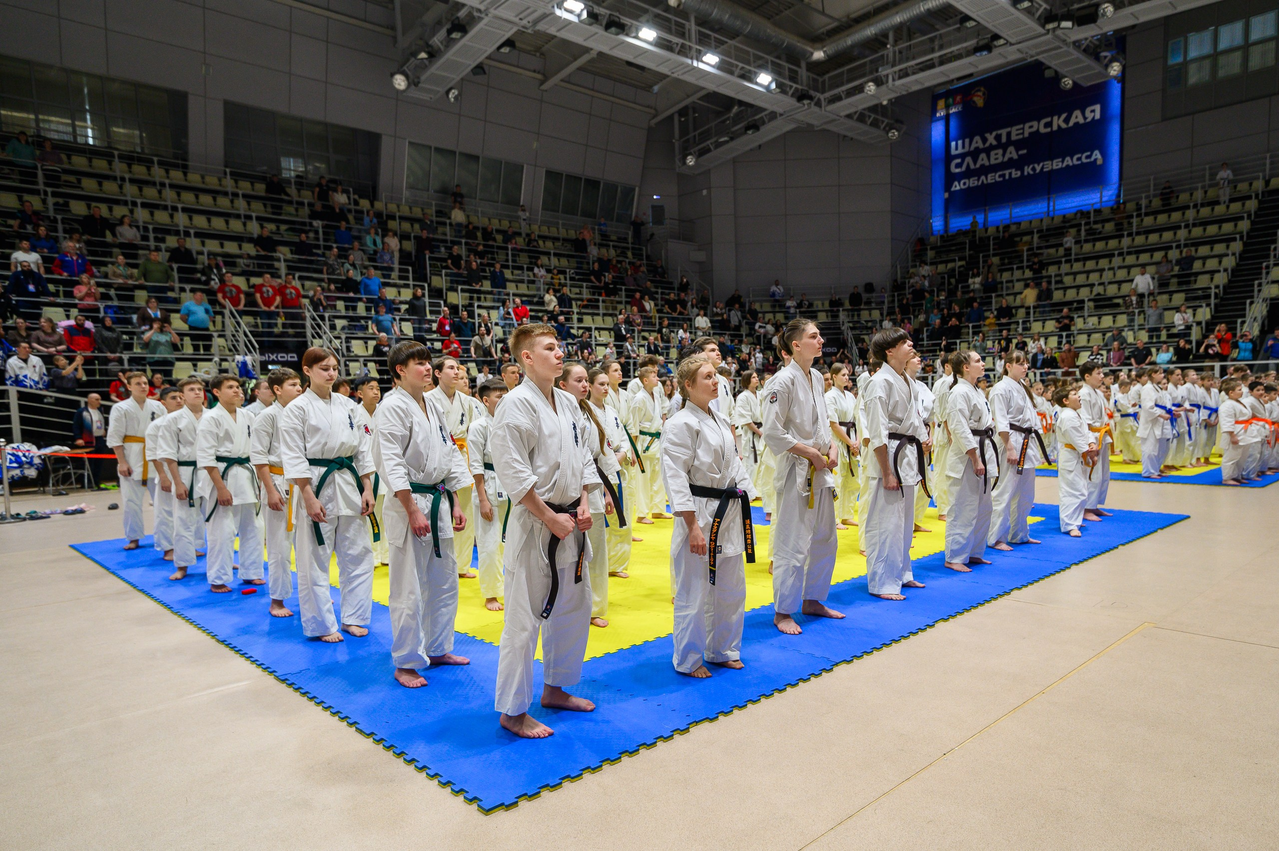 «Первенство и чемпионат Кузбасса по Киокушин» 09.03.25. Фотограф в Кемерово Владислав Шульц