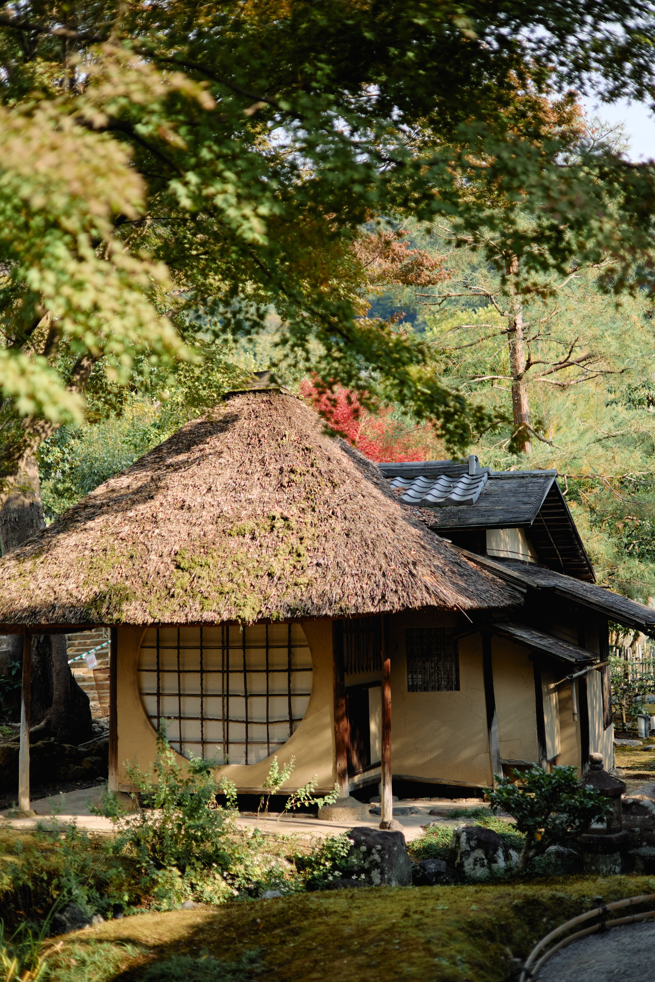 Япония. Профессиональный Фотограф во Владимире, в Москве и в Суздале — Полина Романычева