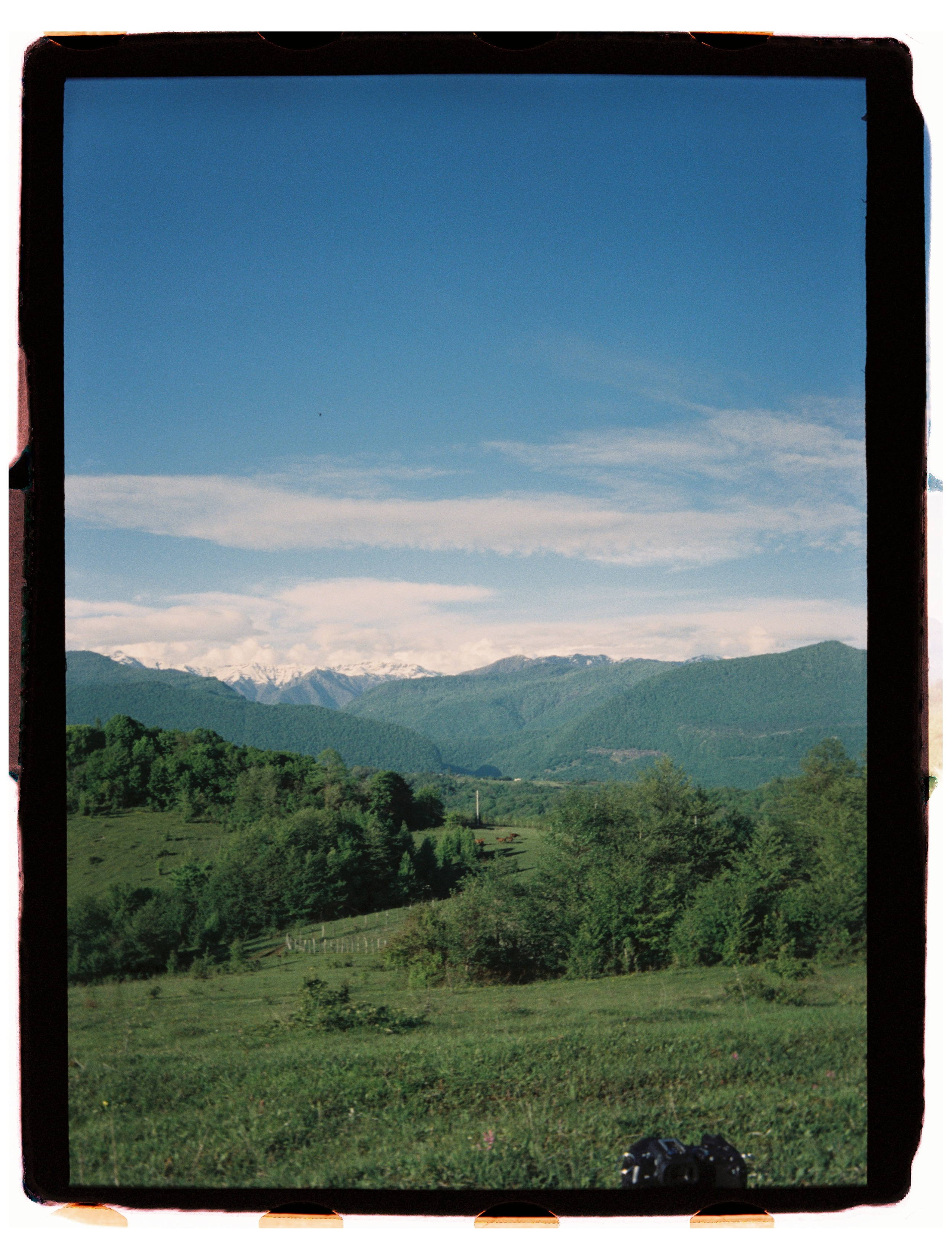 Юг. Профессиональный Фотограф во Владимире, в Москве и в Суздале — Полина Романычева