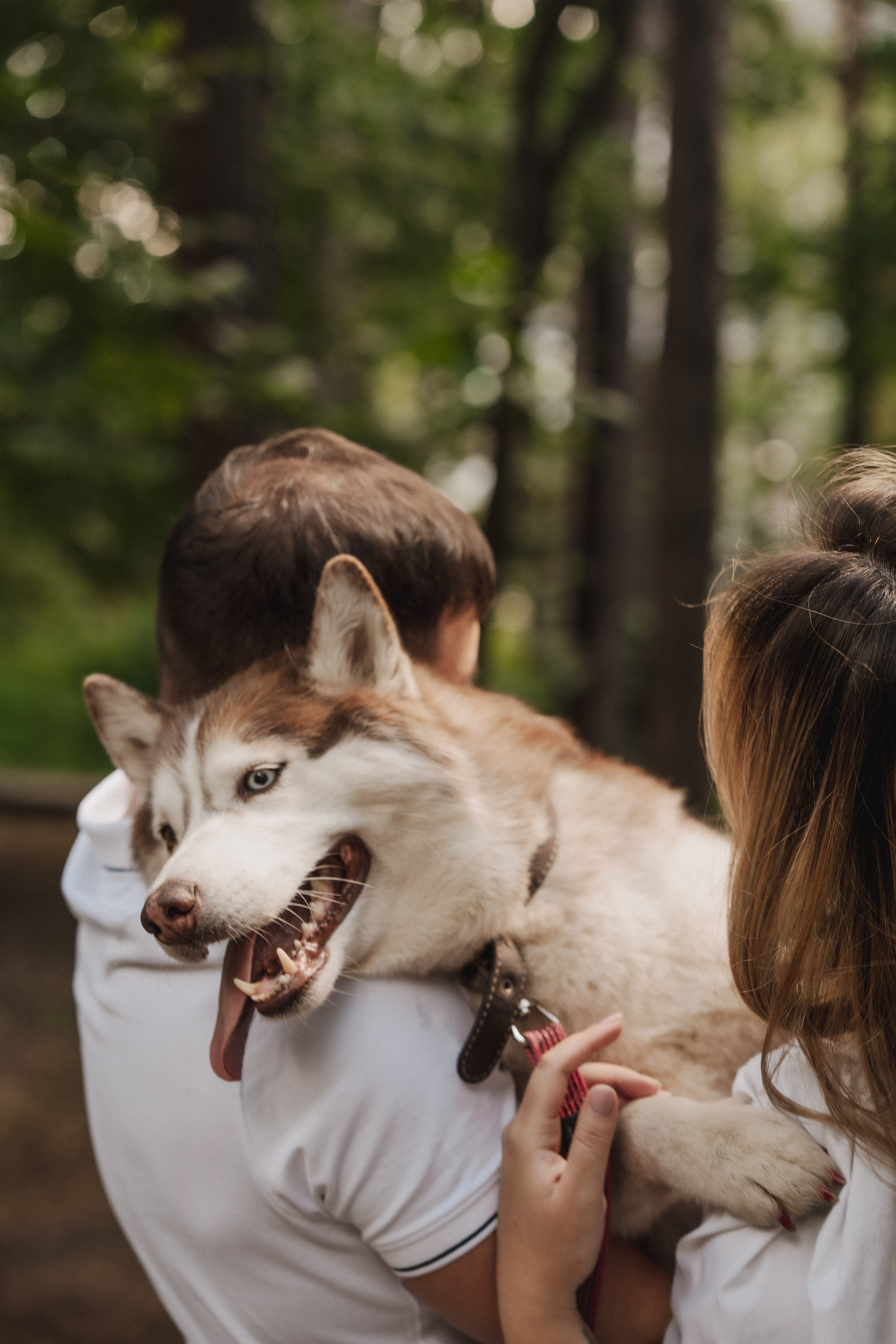 Дарья ♡ Максим ✧ Чоки — История любви, когда в семье есть хаски. Свадебный и портретный фотограф в Москве, Светлана Янковая