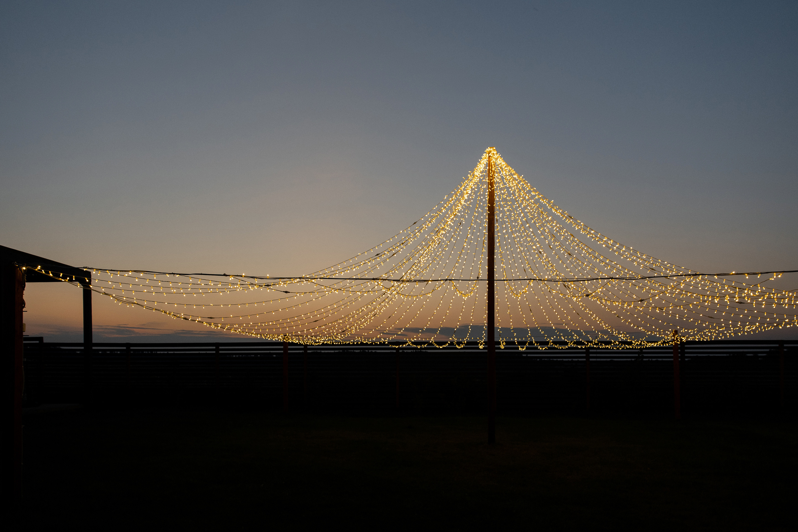 Love. Galina and Nikita Bykovets, a wedding photographer and videographer duo in Germany