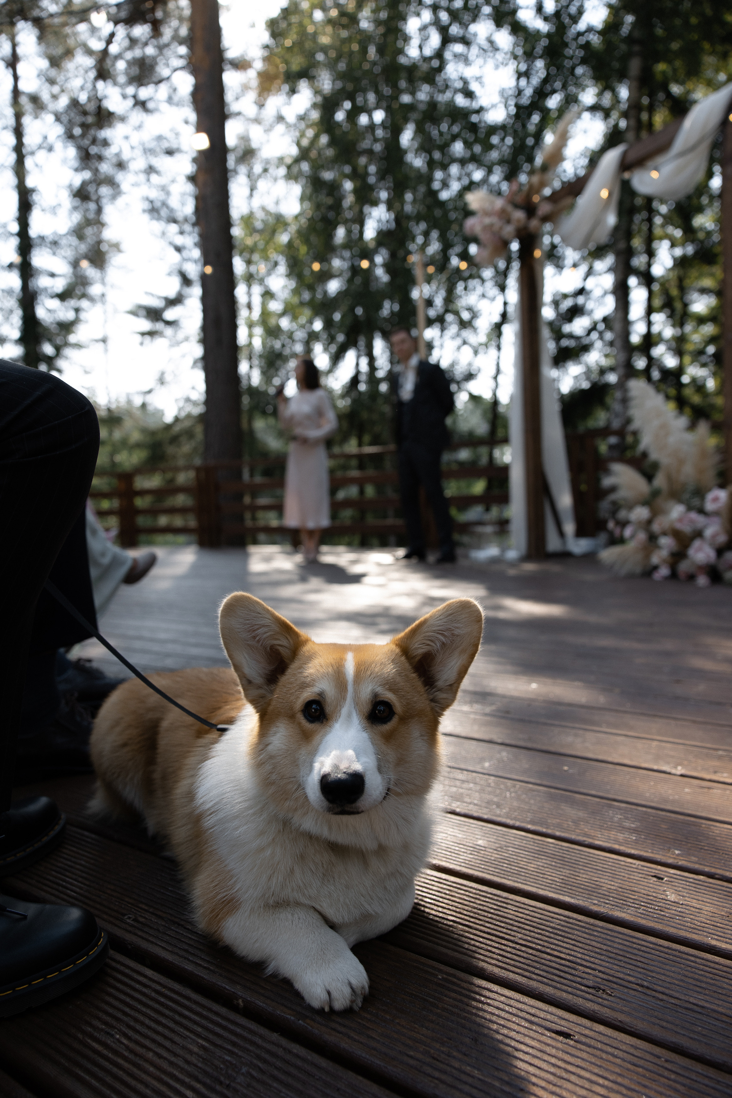 Rockstar. Hochzeitsfotografin Galina Bikowez