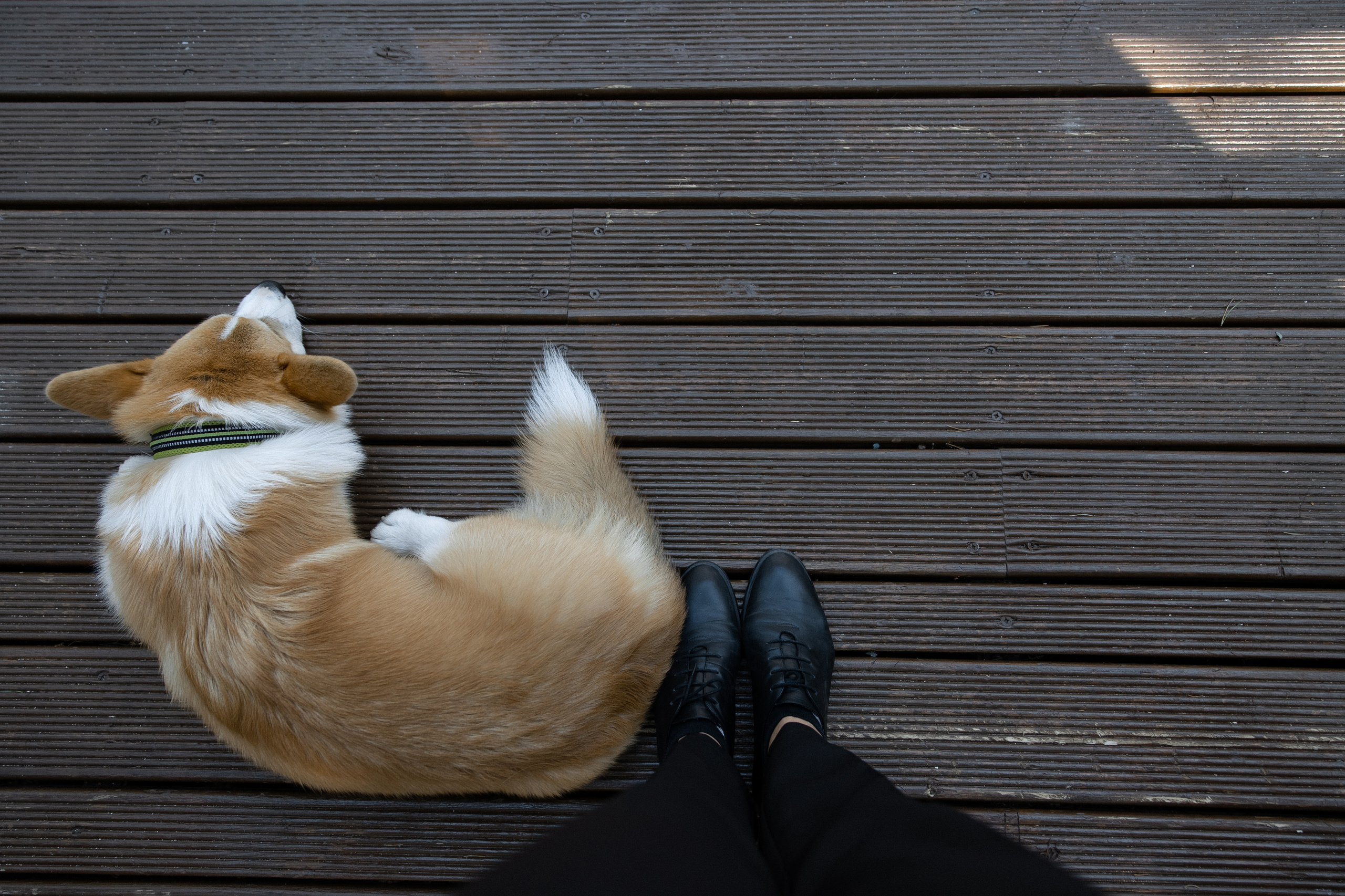 Rockstar. Hochzeitsfotografin Galina Bikowez