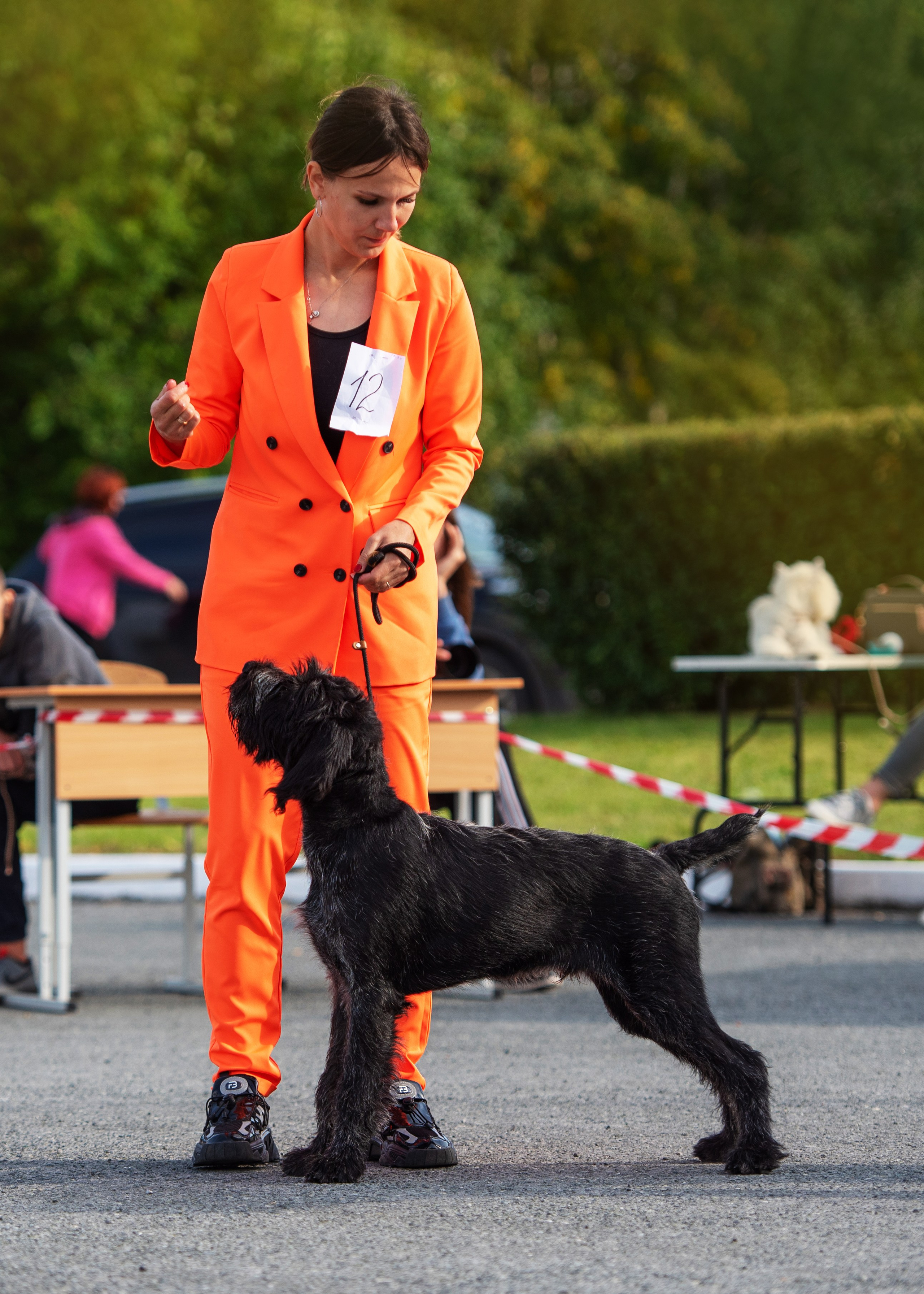 Выставка собак Тюмень 02.09.2023. Дог-фотограф в Тюмени Александра Королева