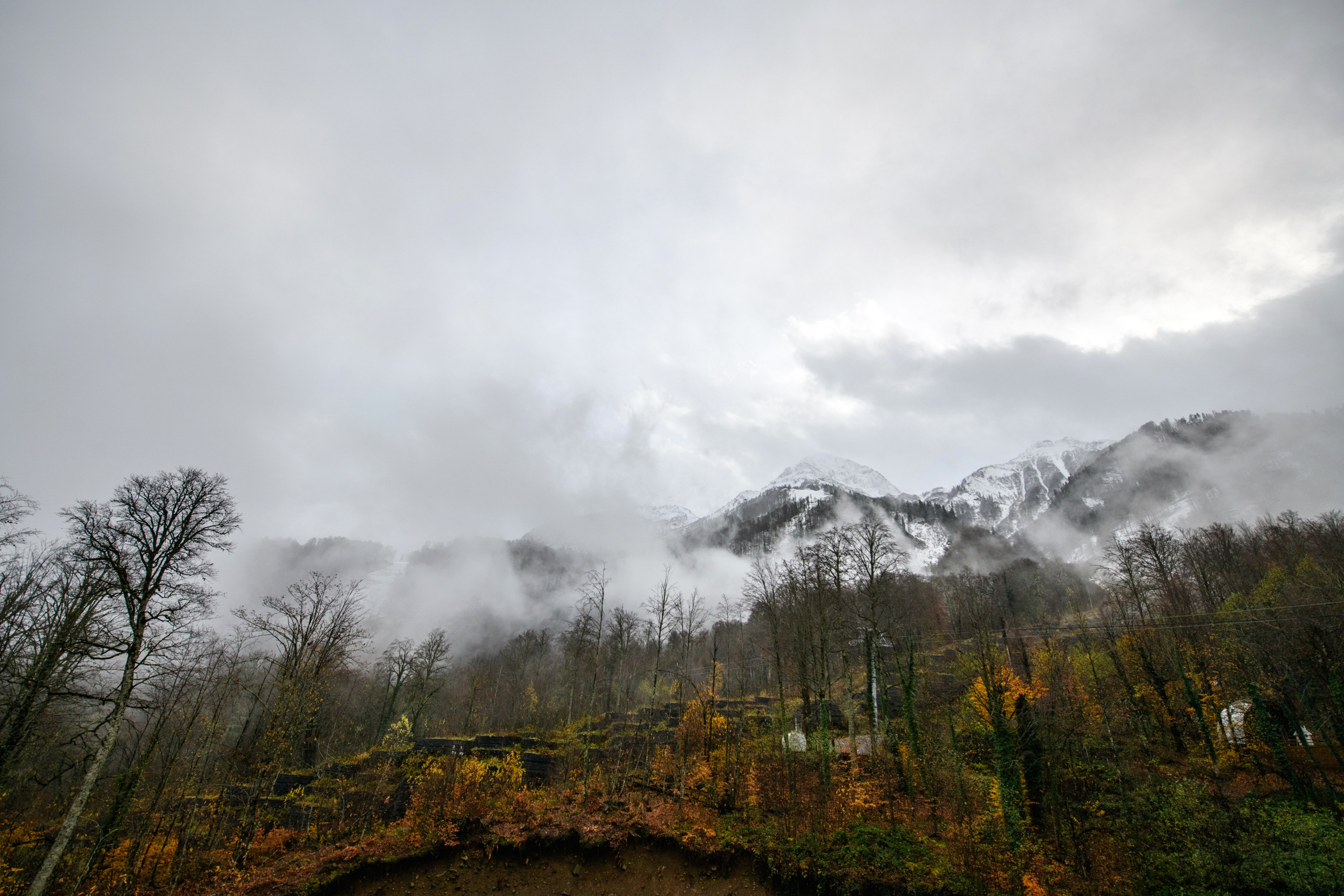 Максим и Влада. Фотограф в сочи Свадебный фотограф Сочи