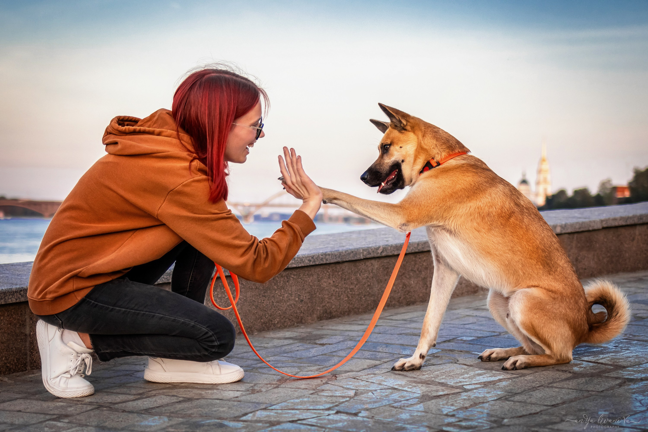Лиза и Юки. Фотограф анималист Аня Ливанова | Рыбинск
