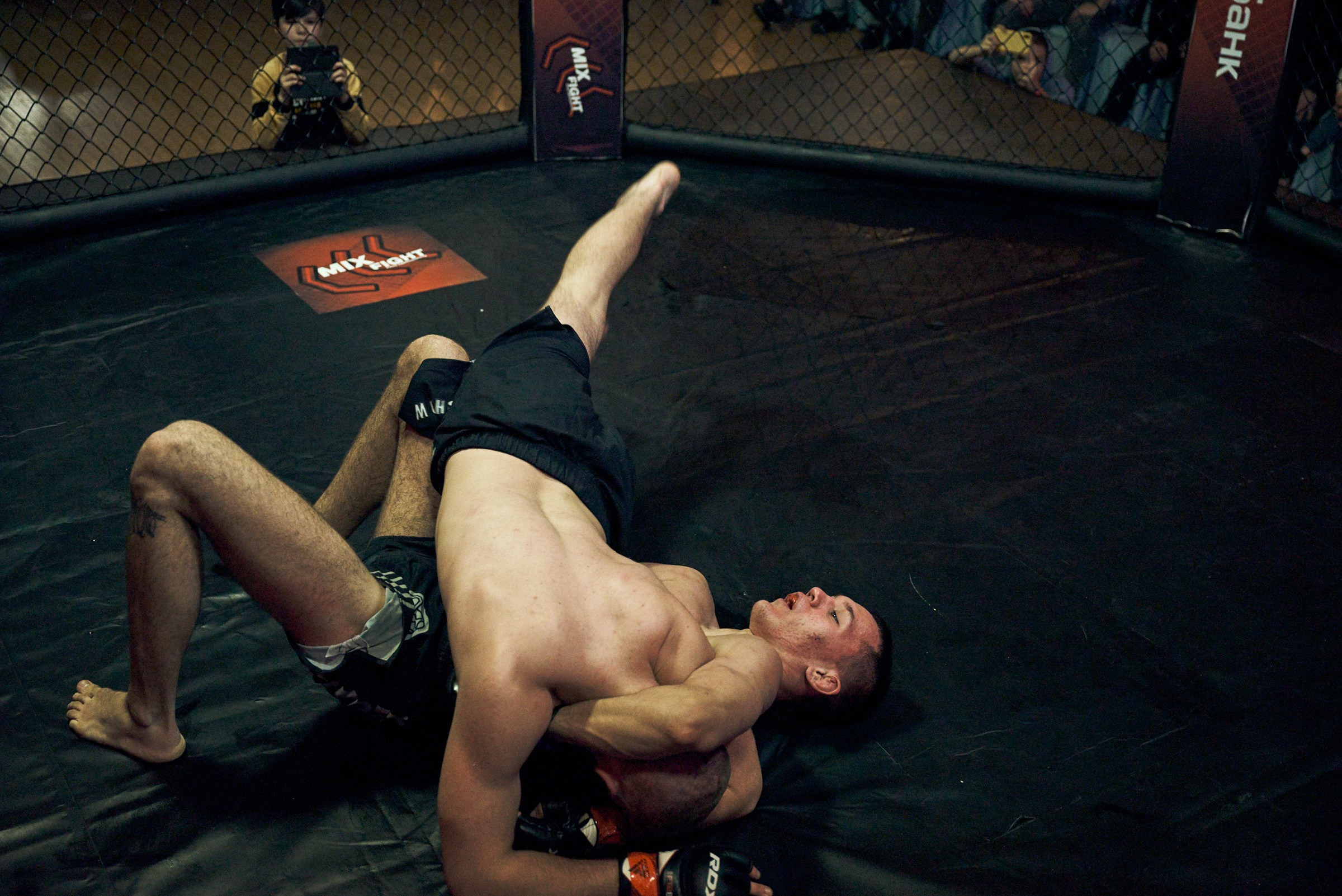 Бои. Маляревич Дмитрий свадебный фотограф