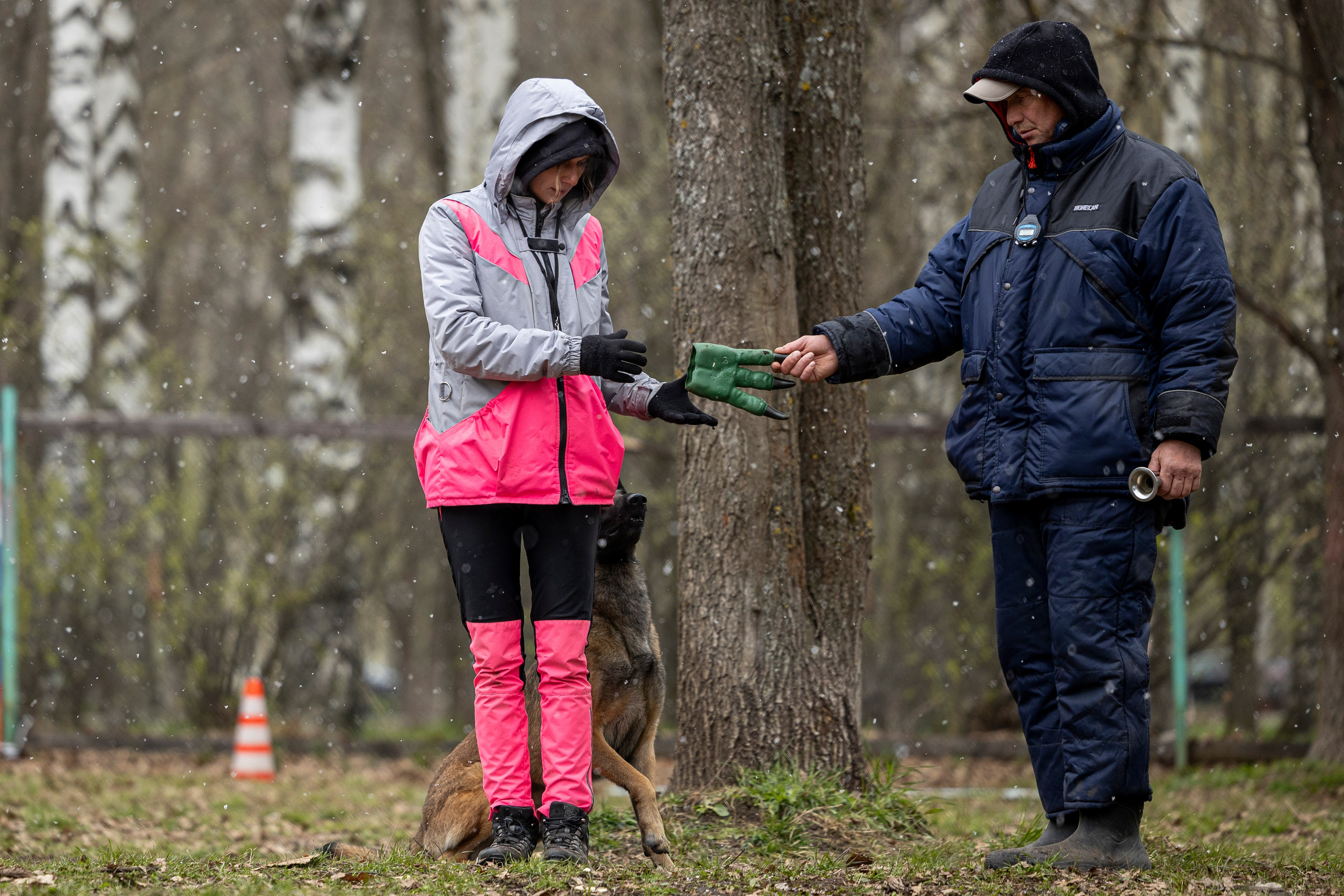 Квалификационные состязания по мондьорингу г. Вологда 11.05.24. Фотограф-анималист Анна Маринич