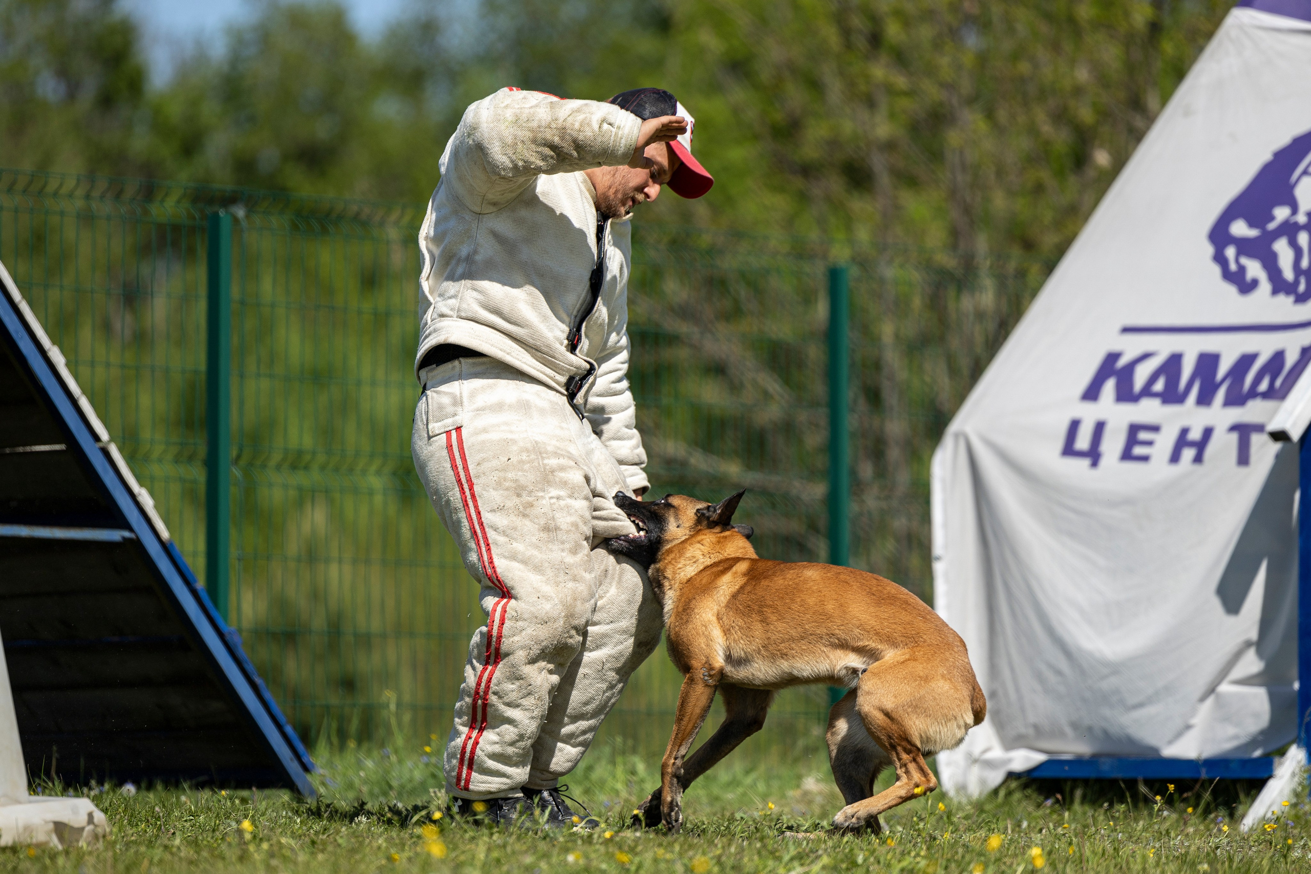 Испытания по мондьорингу в Нижнем Новгороде. Фотограф-анималист Анна Маринич