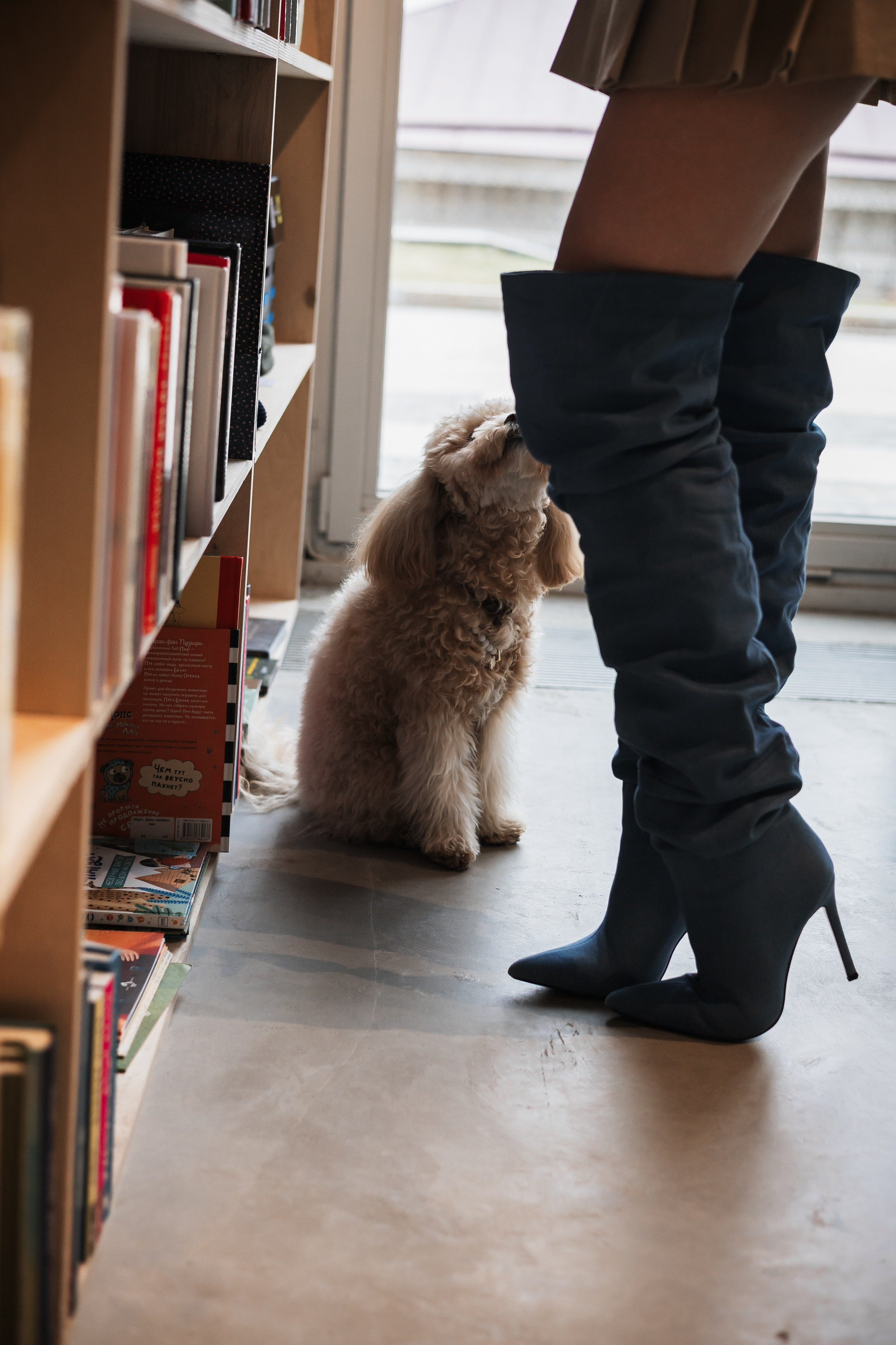 Алина — прогулка