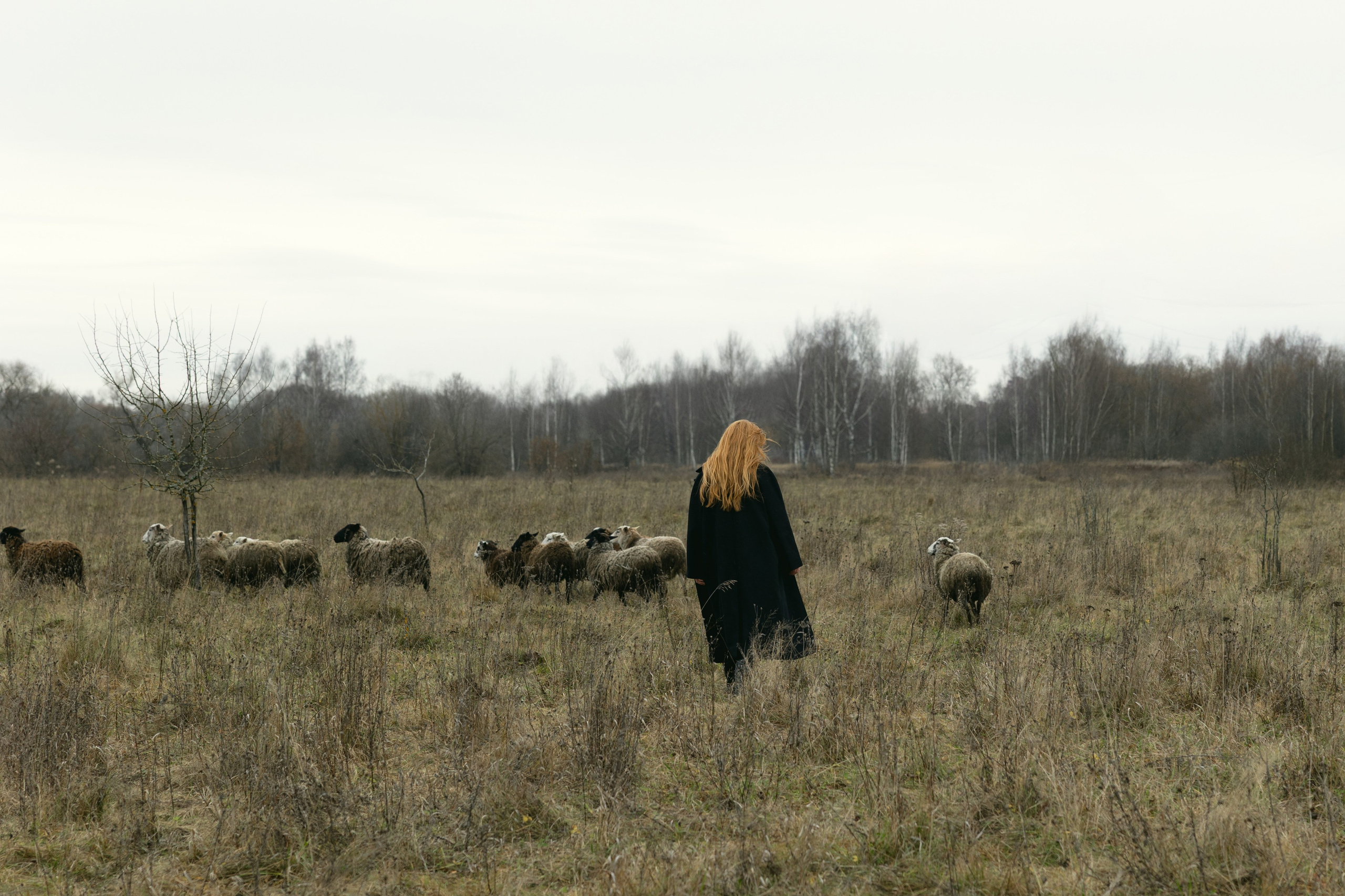 Таня. Свадебный фотограф Ксения Ровковская