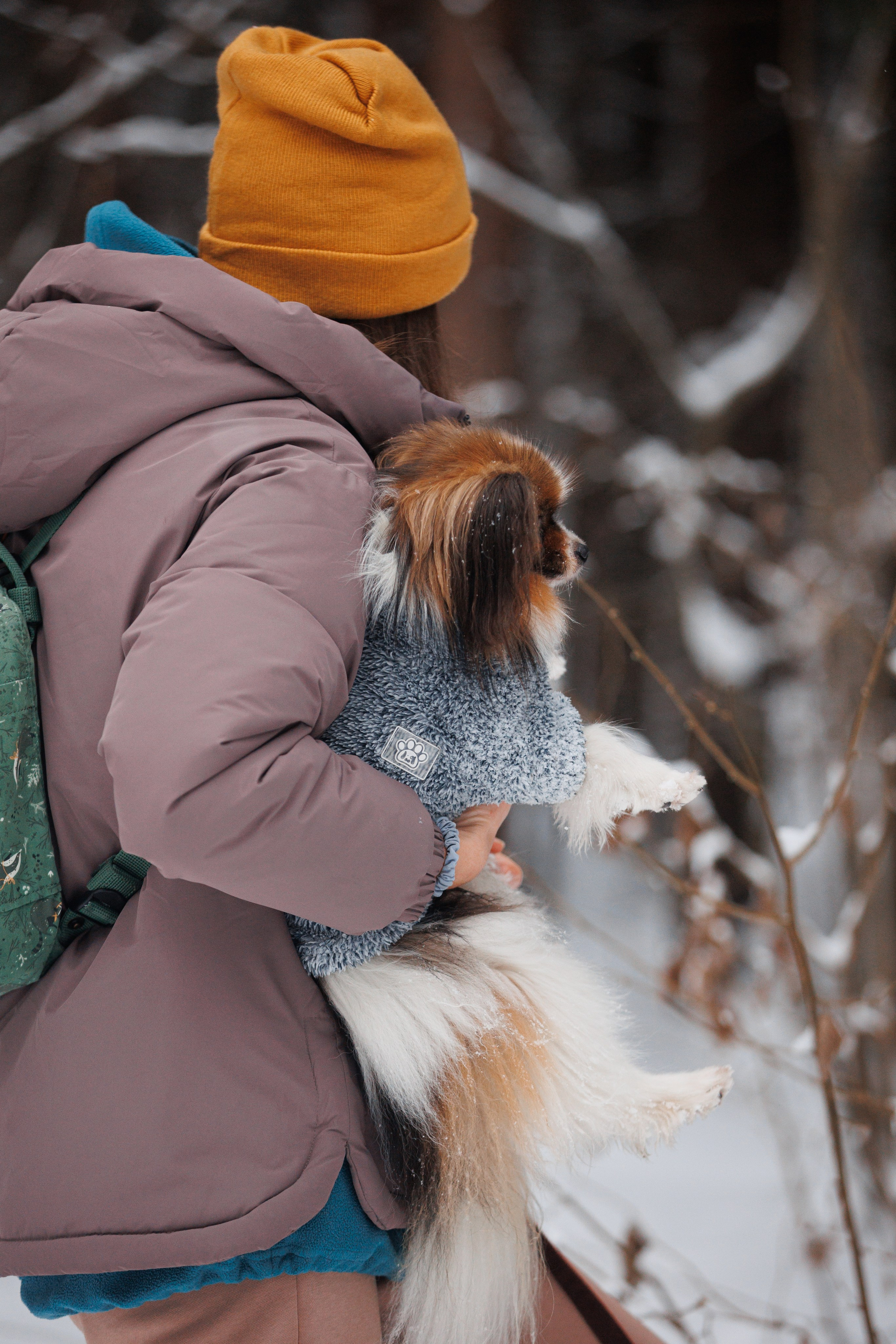 Даша и компания. Фотограф анималист Кристина Карпова, Москва