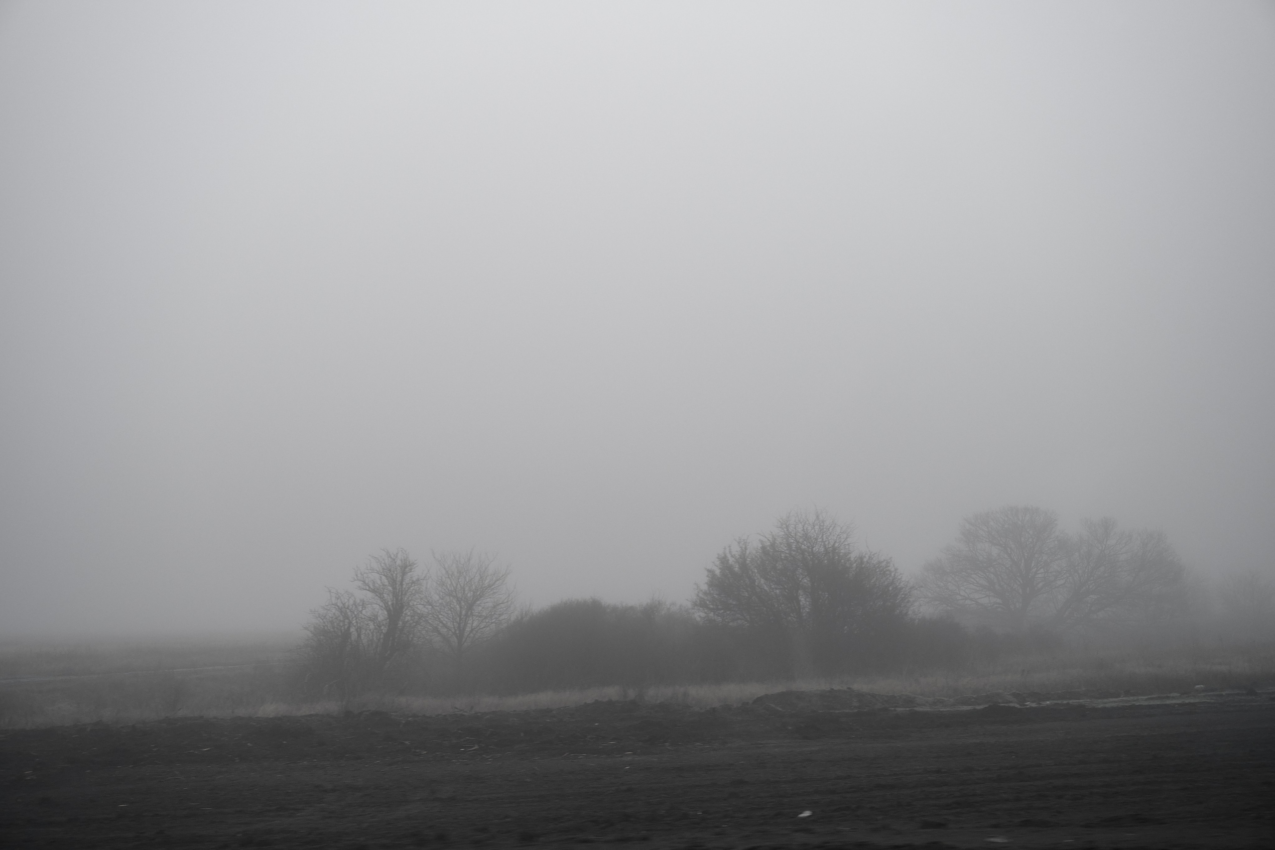 Дорога домой. Туман. Фотограф Роман Адлер