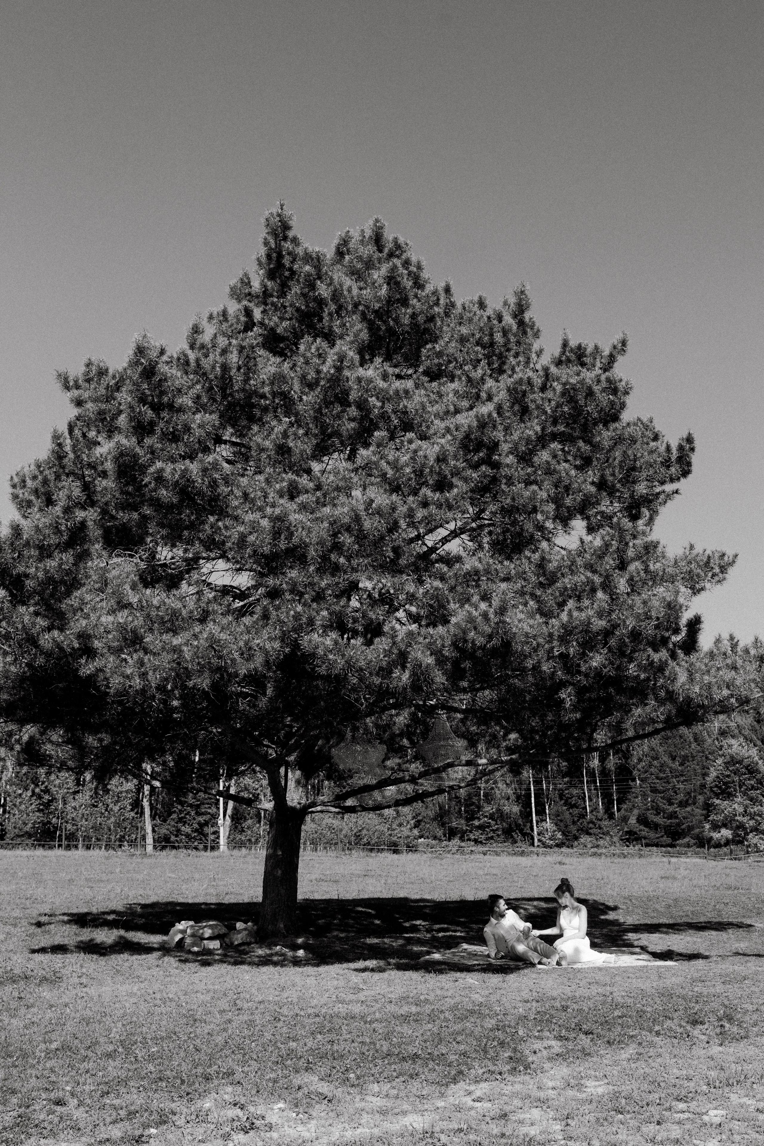 Сергей и Дарья. Свадебный фотограф Москва Санкт-Петербург Сочи Калининград Мария