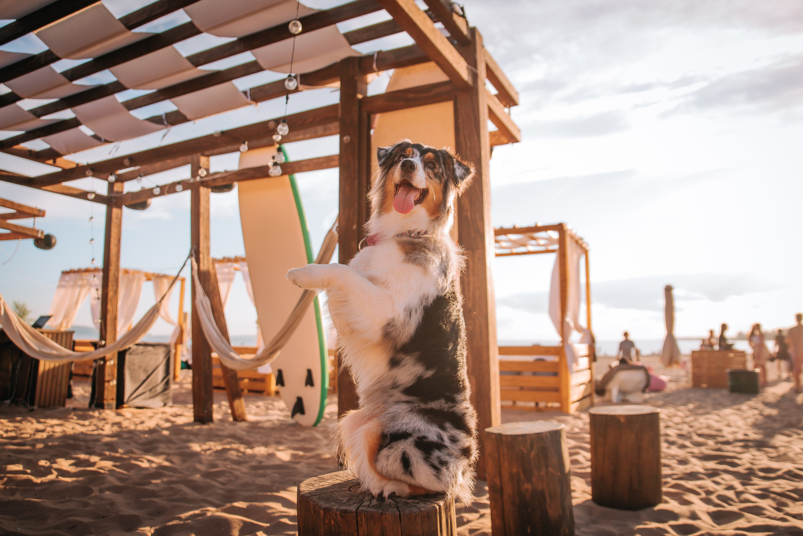 No Bad Days. Главная