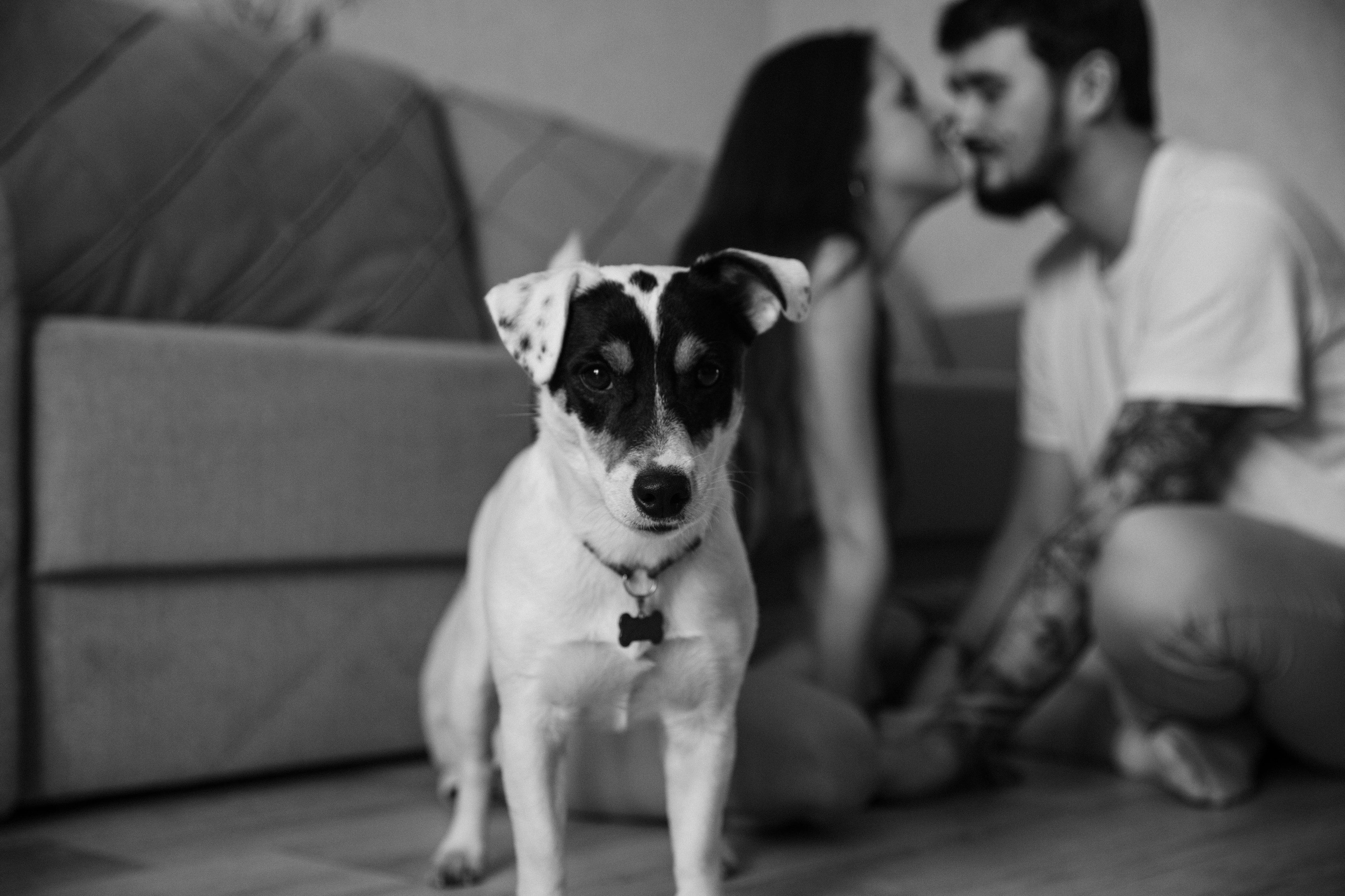 Дарья и Егор. Свадебный и семейный фотограф в Челябинске