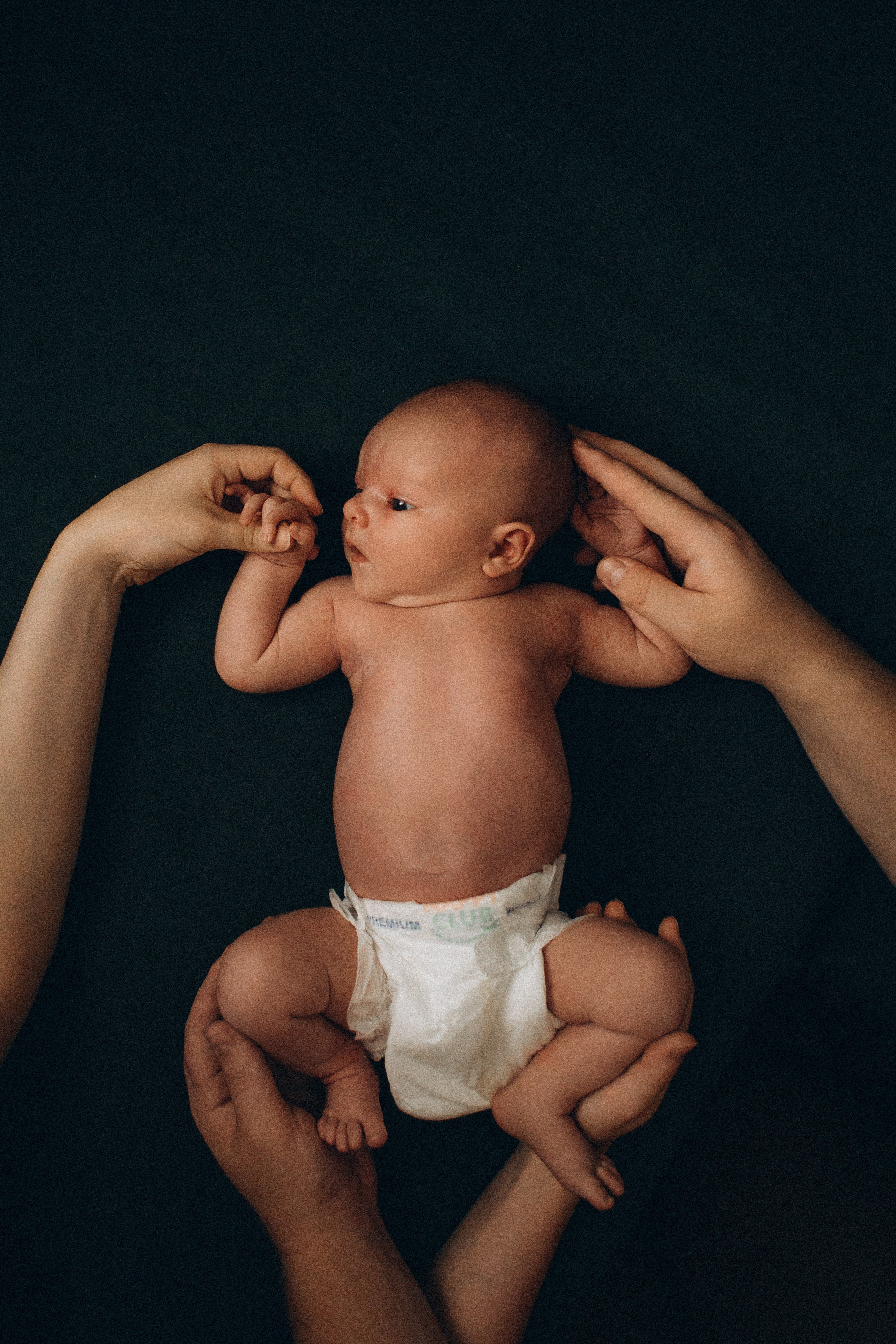 Мелисса. Семейный фотограф Виктория Потехина Москва