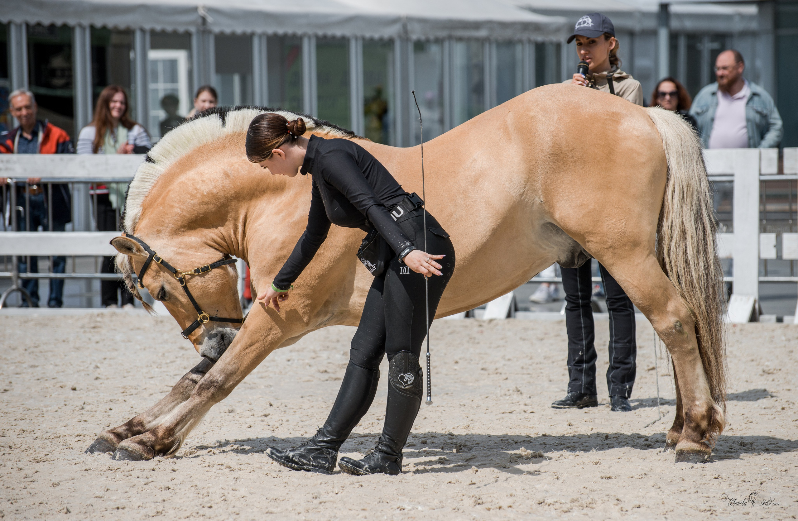 Эквирос, Москва. Конный фотограф в Саратове Юлия Иванова