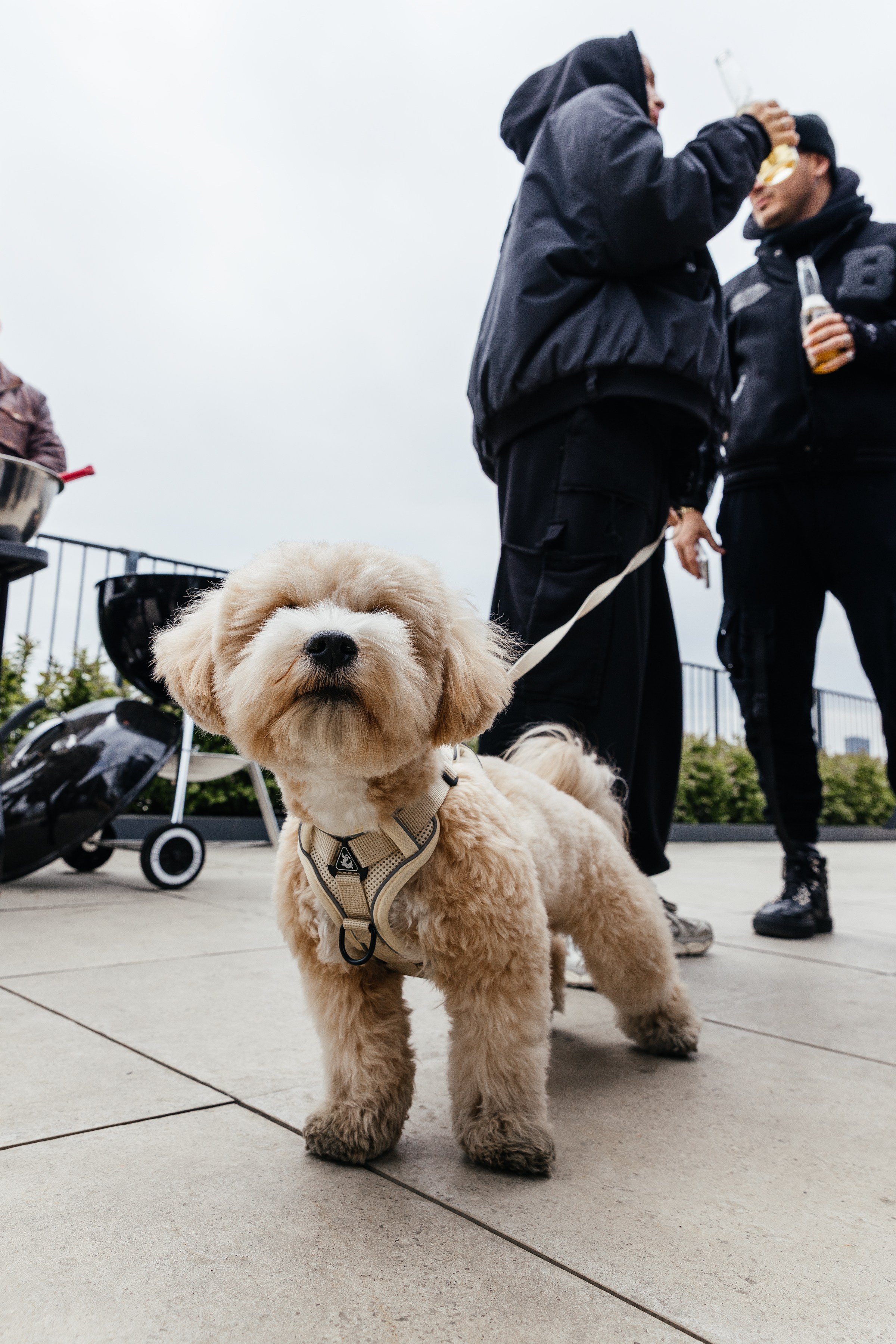 Светская хроника. Аксана Лисовская фотограф в Москве. Фотографии с характером