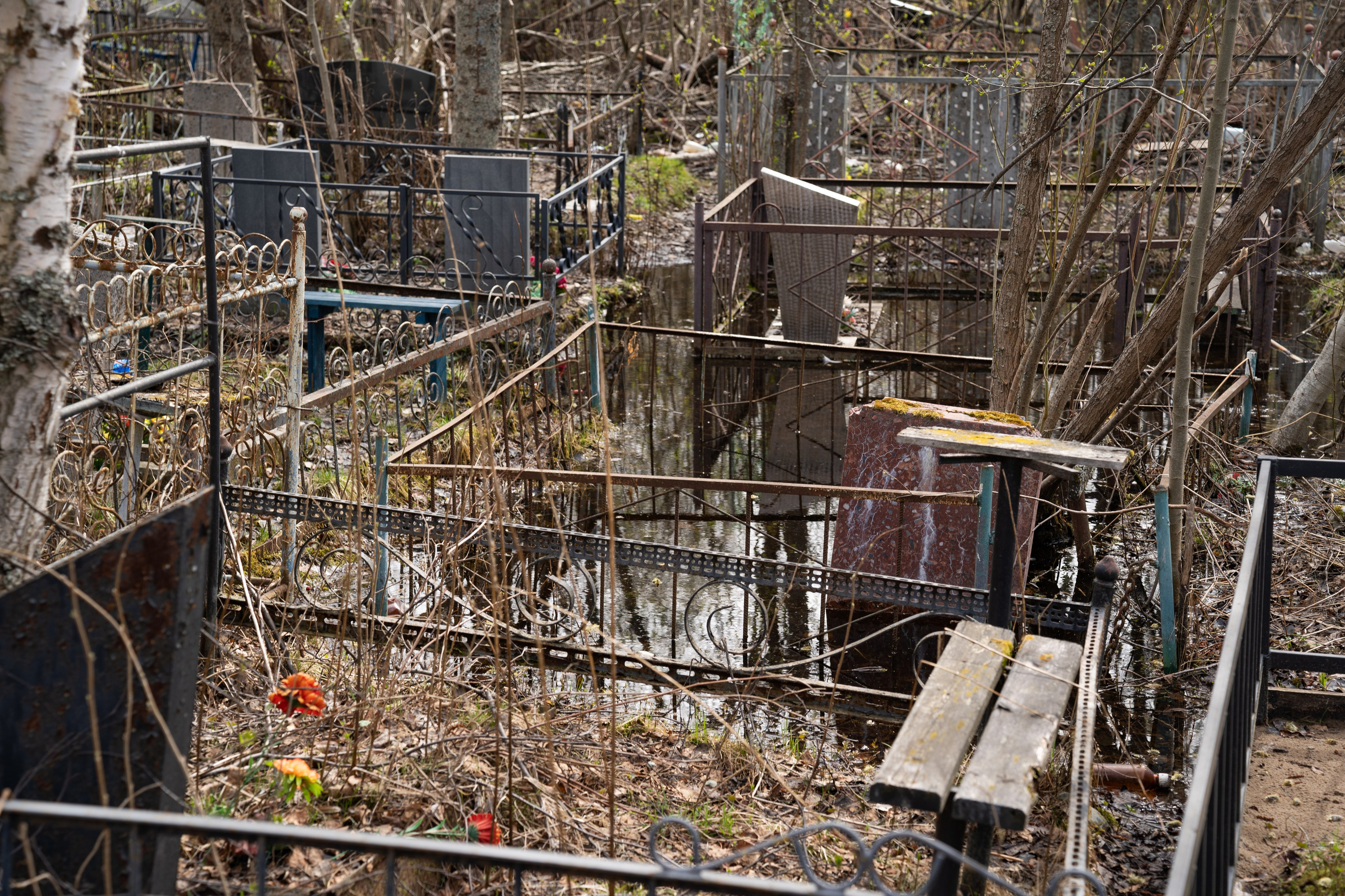 Neuropolis|Архангельск. Концертный и репортажный фотограф в Санкт-Петербурге Слава Пахомов