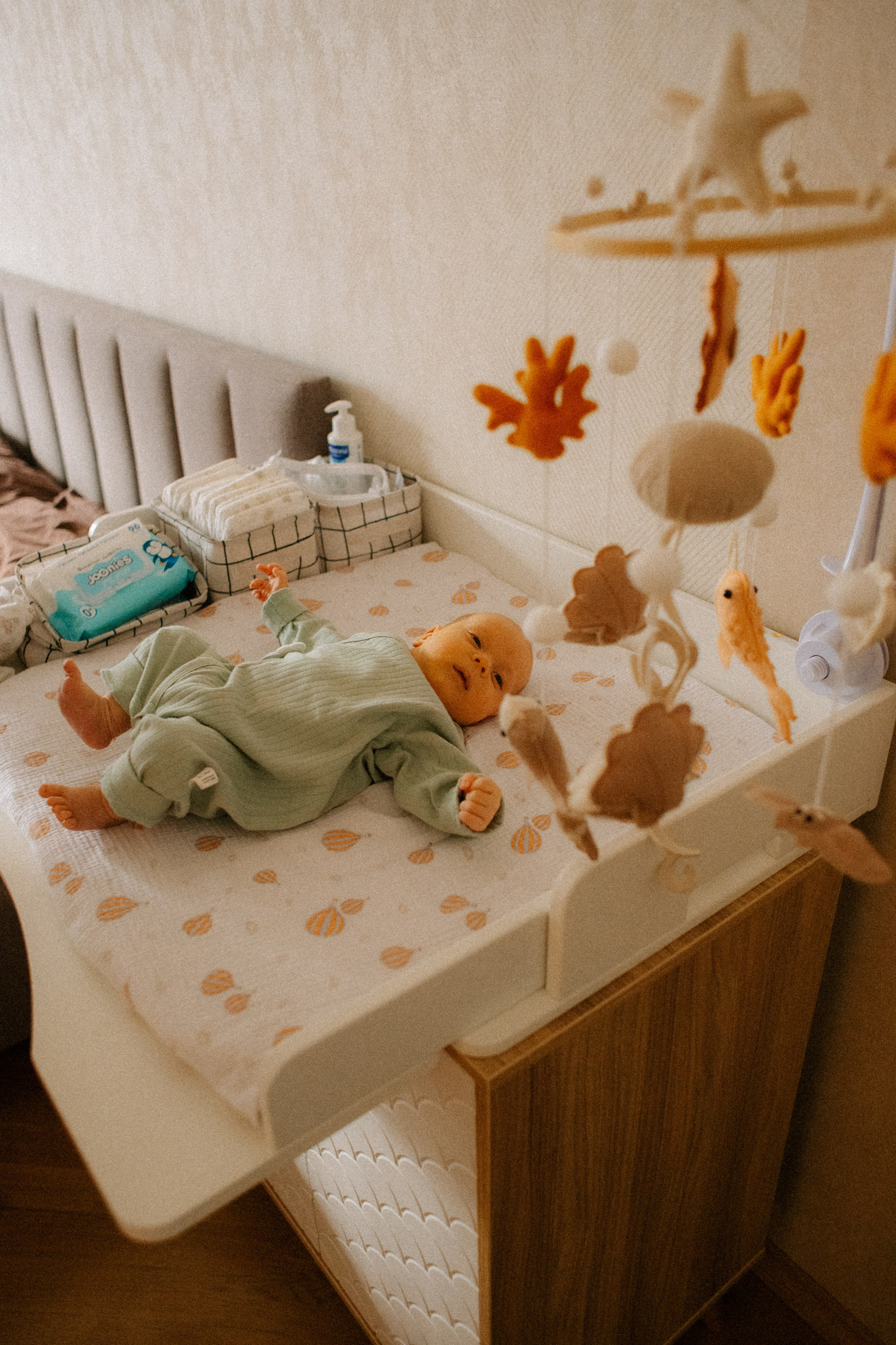 Малыш. Семейный фотограф Виктория Потехина Москва