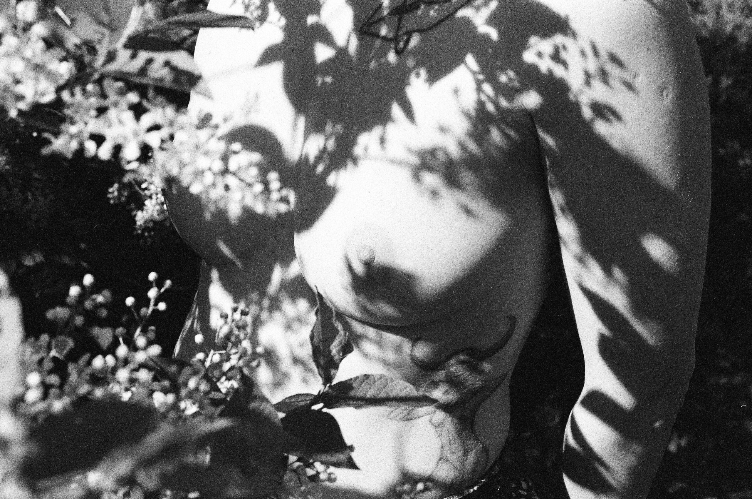 Майская обнаженная искренность первых соцветий. Мари Линёк-Стельмах Фотохудожник Санкт-Петербург/Урал