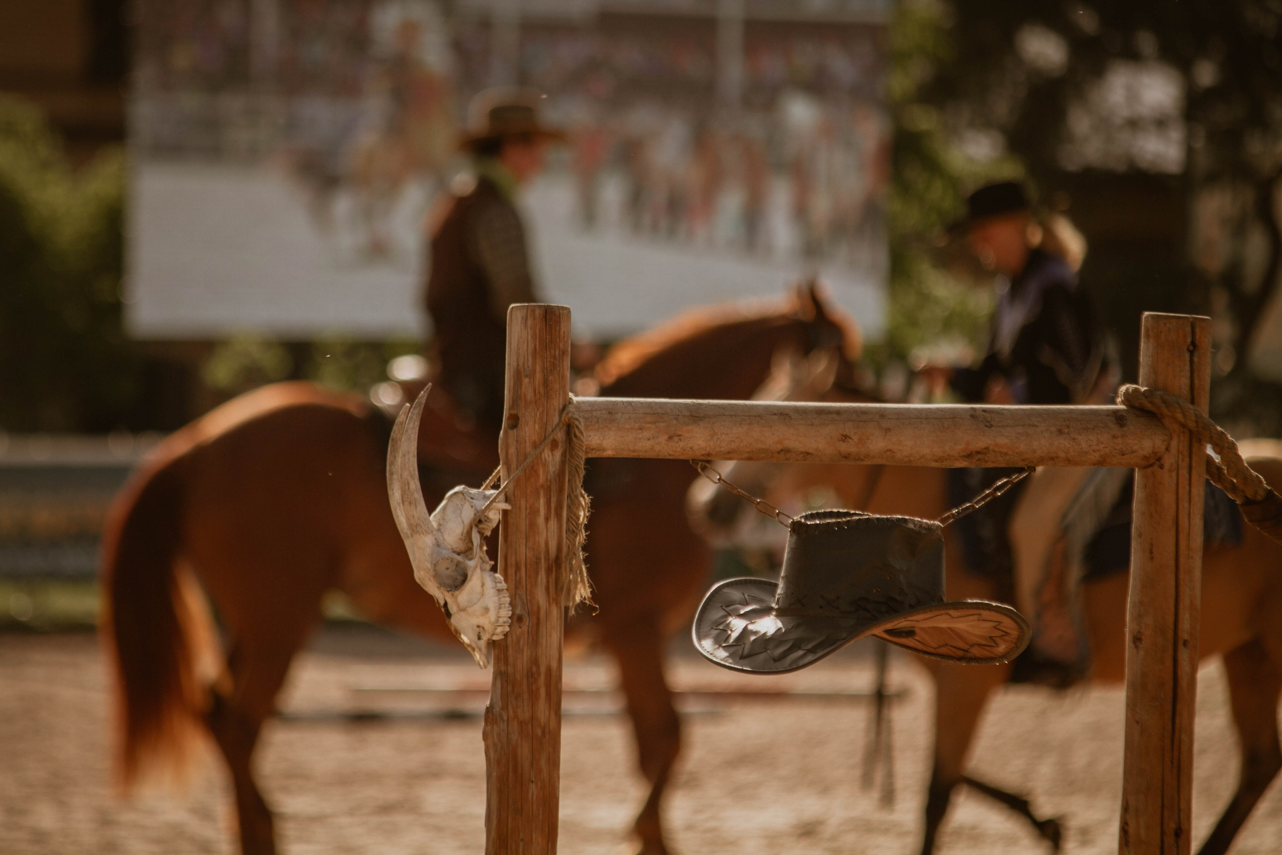 ИППОСФЕРА — Международная конная выставка. Создадим шедевр? Виталина и её фотоискусство