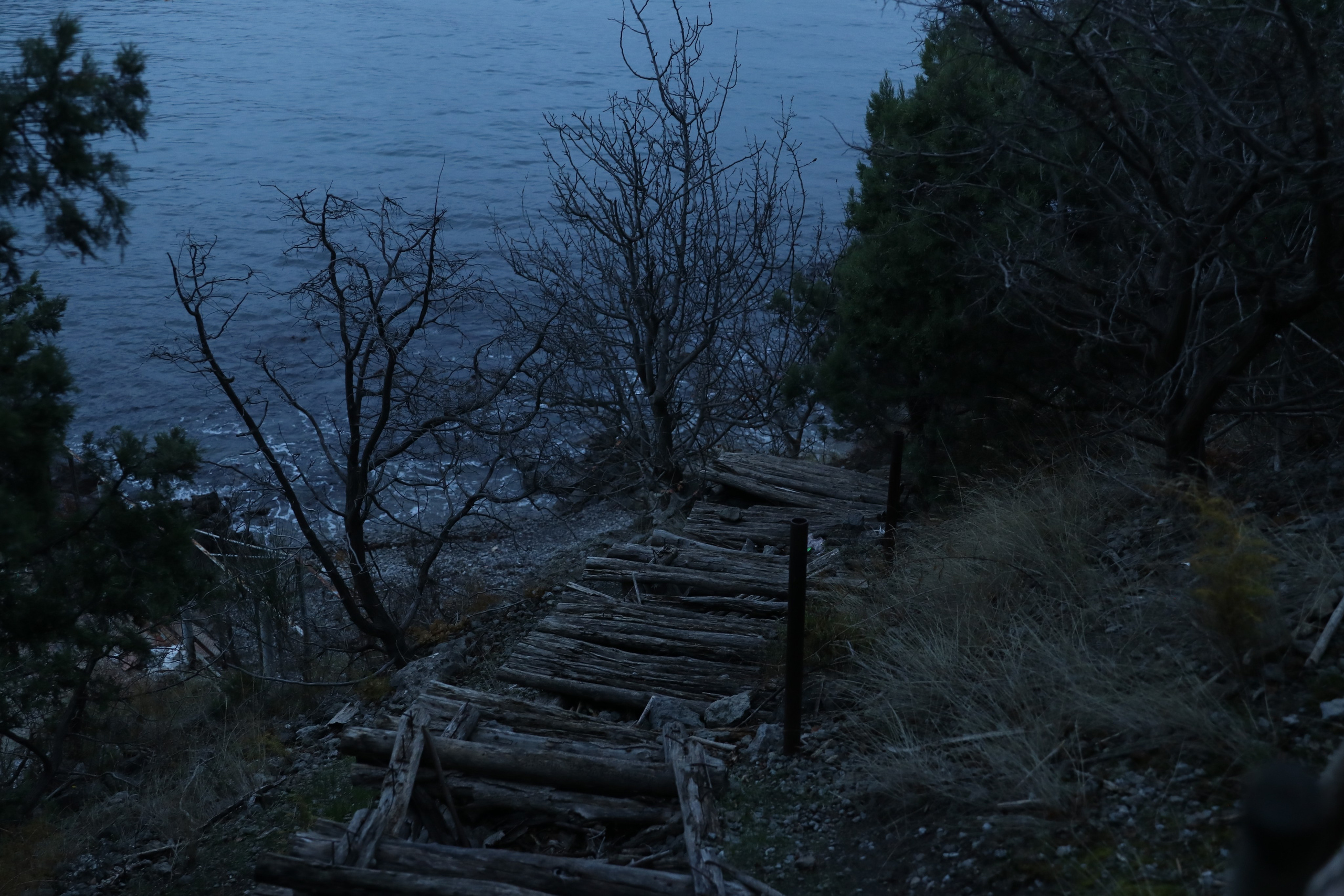 Крым. ЮБК (Гурзуф, Судак и их окрестности). Ноябрь 2023. Путешественник-фотограф из Санкт-Петербурга Татьяна Свистулина