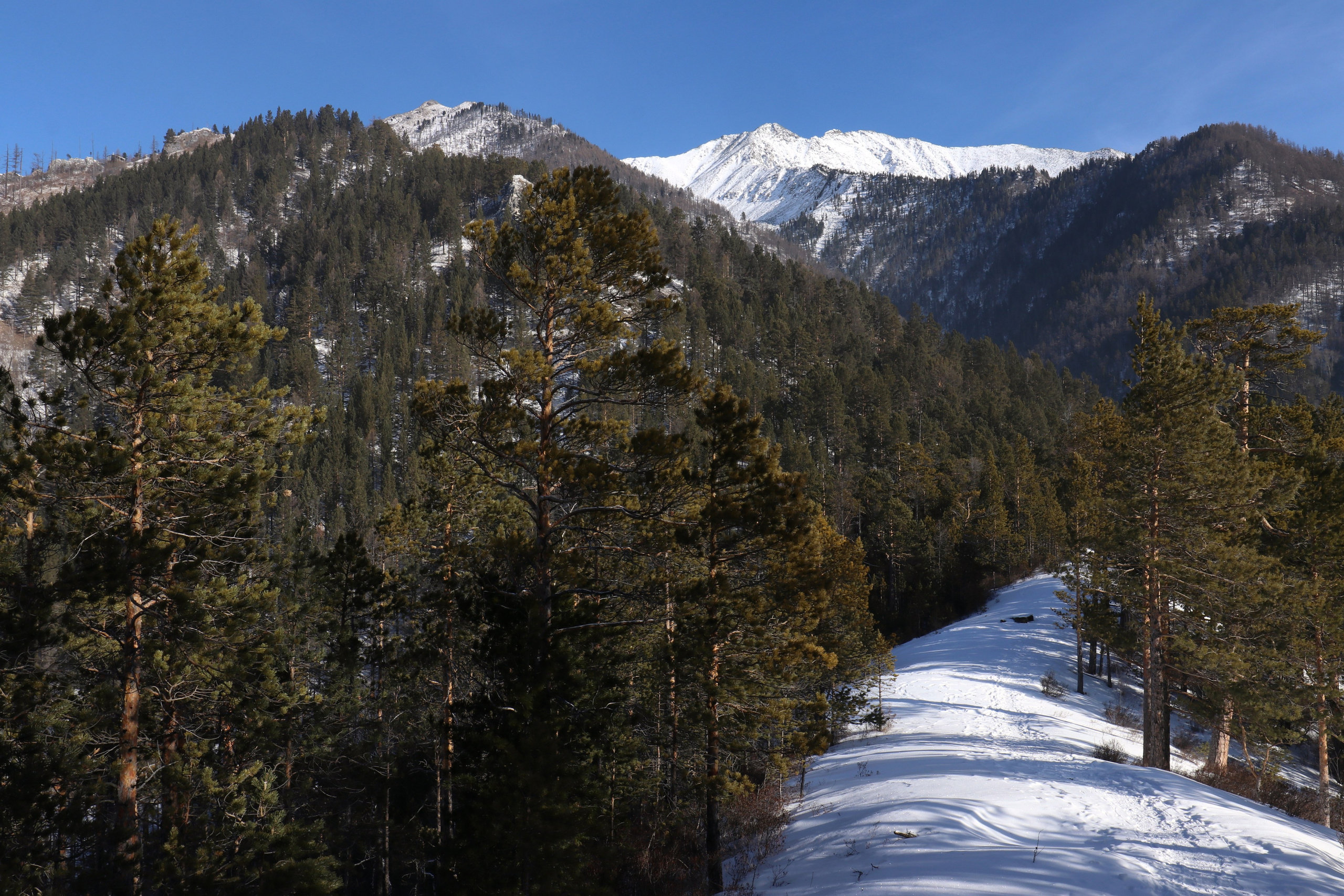 Аршан. Февраль 2025. Путешественник-фотограф из Санкт-Петербурга Татьяна Свистулина