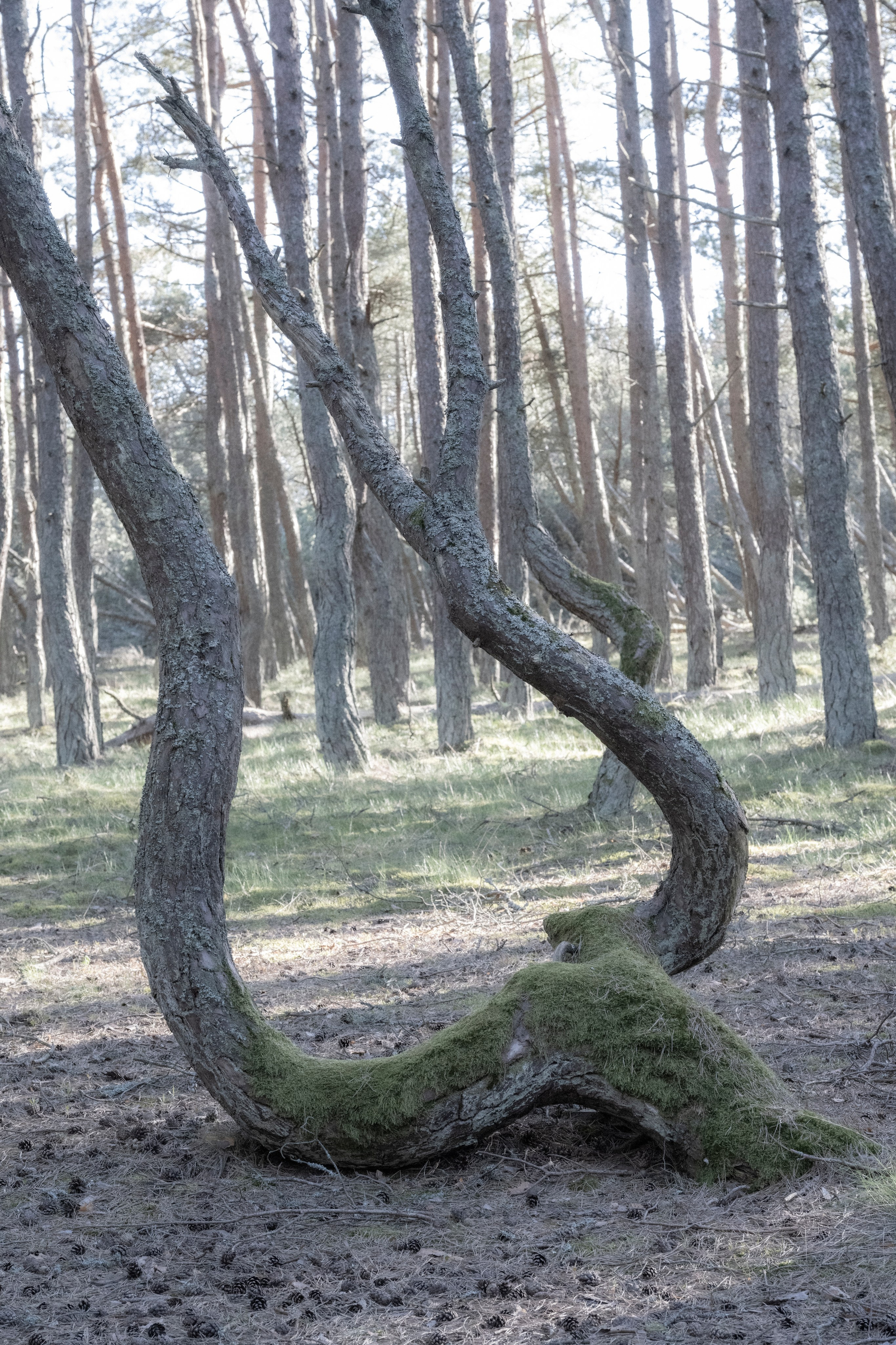 Калининград