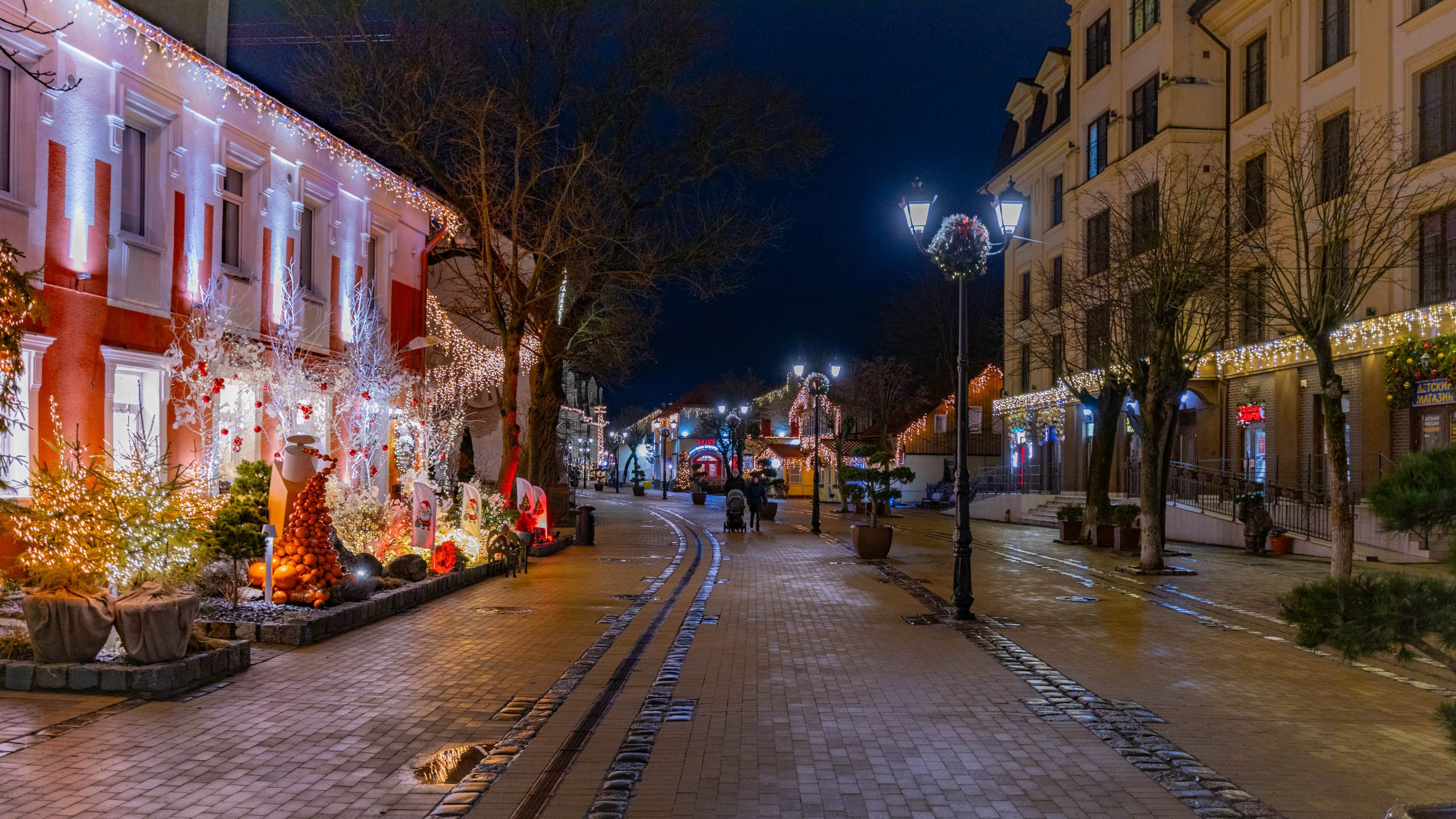 2024 01 Калининград (Светлогорск, Зеленоградск). Фотографии