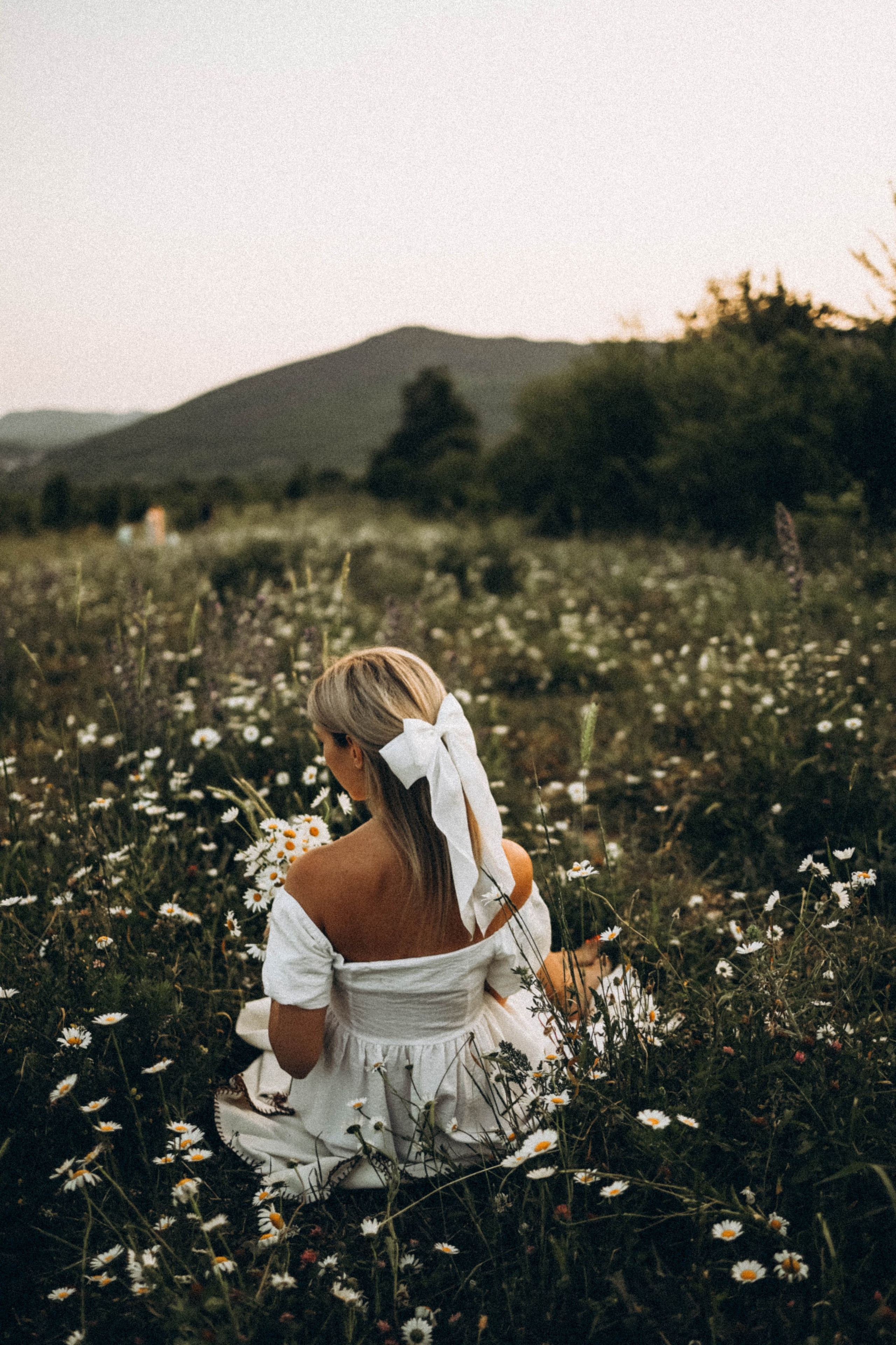 Ромашки. Фотограф Немазенко Ольга