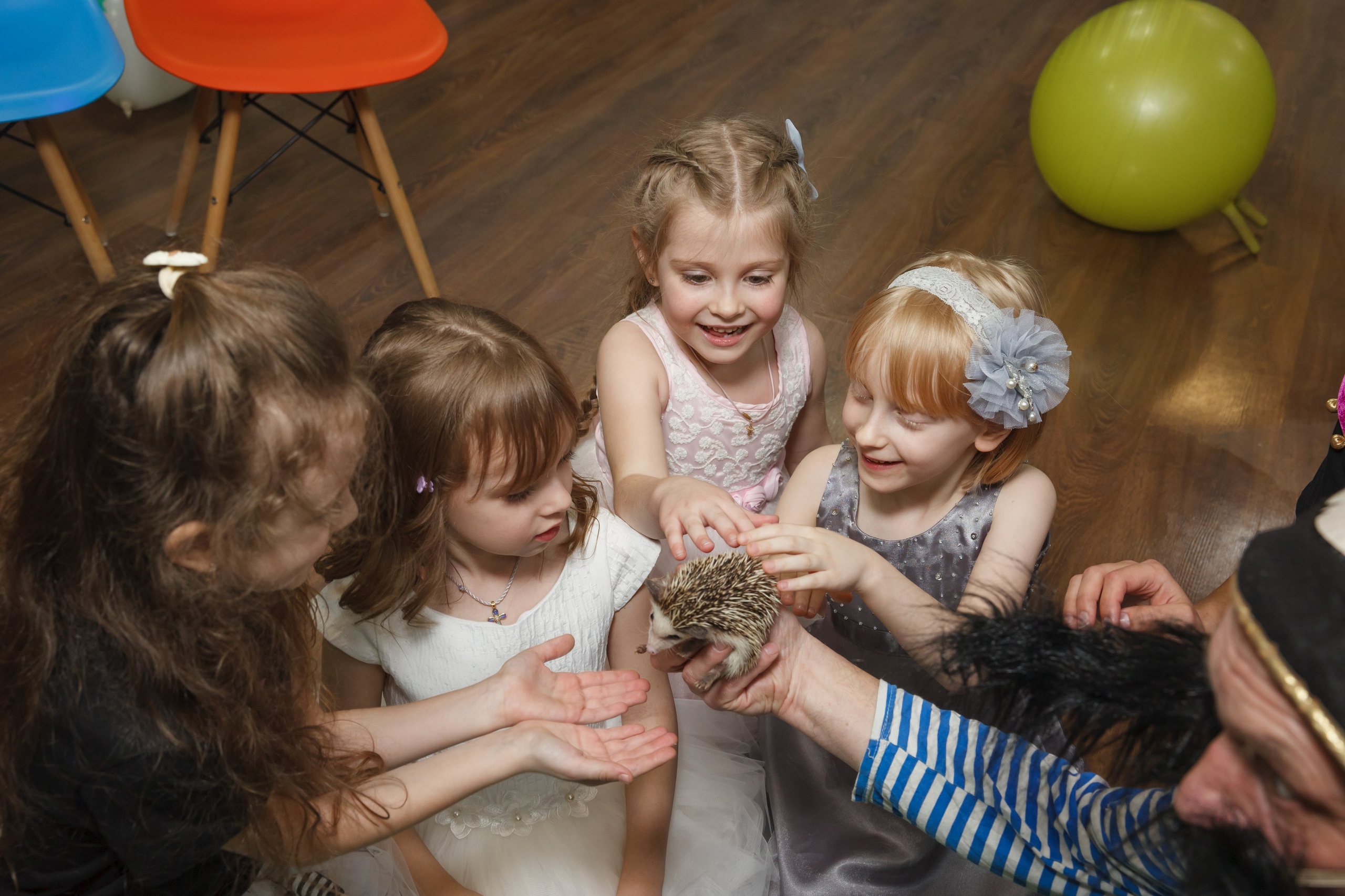День рождения Егора, 6 лет, «Мультяшка». Свадебный и репортажный фотограф (Москва, Королев и другие)