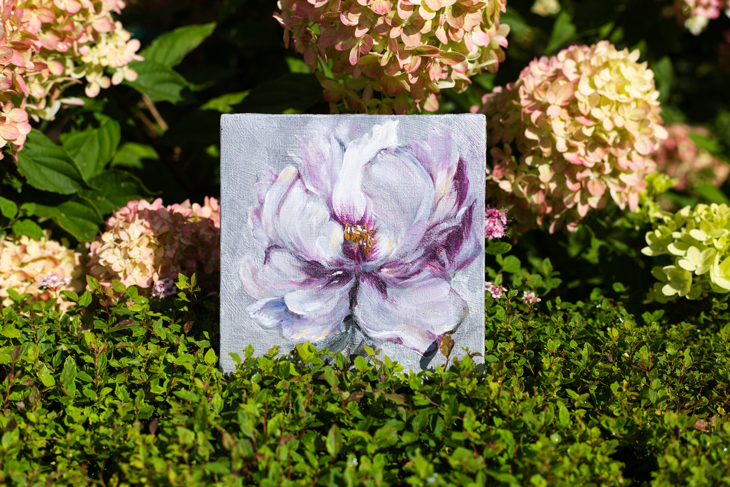 Небо отражается в глазах художницы. Фотограф Тула