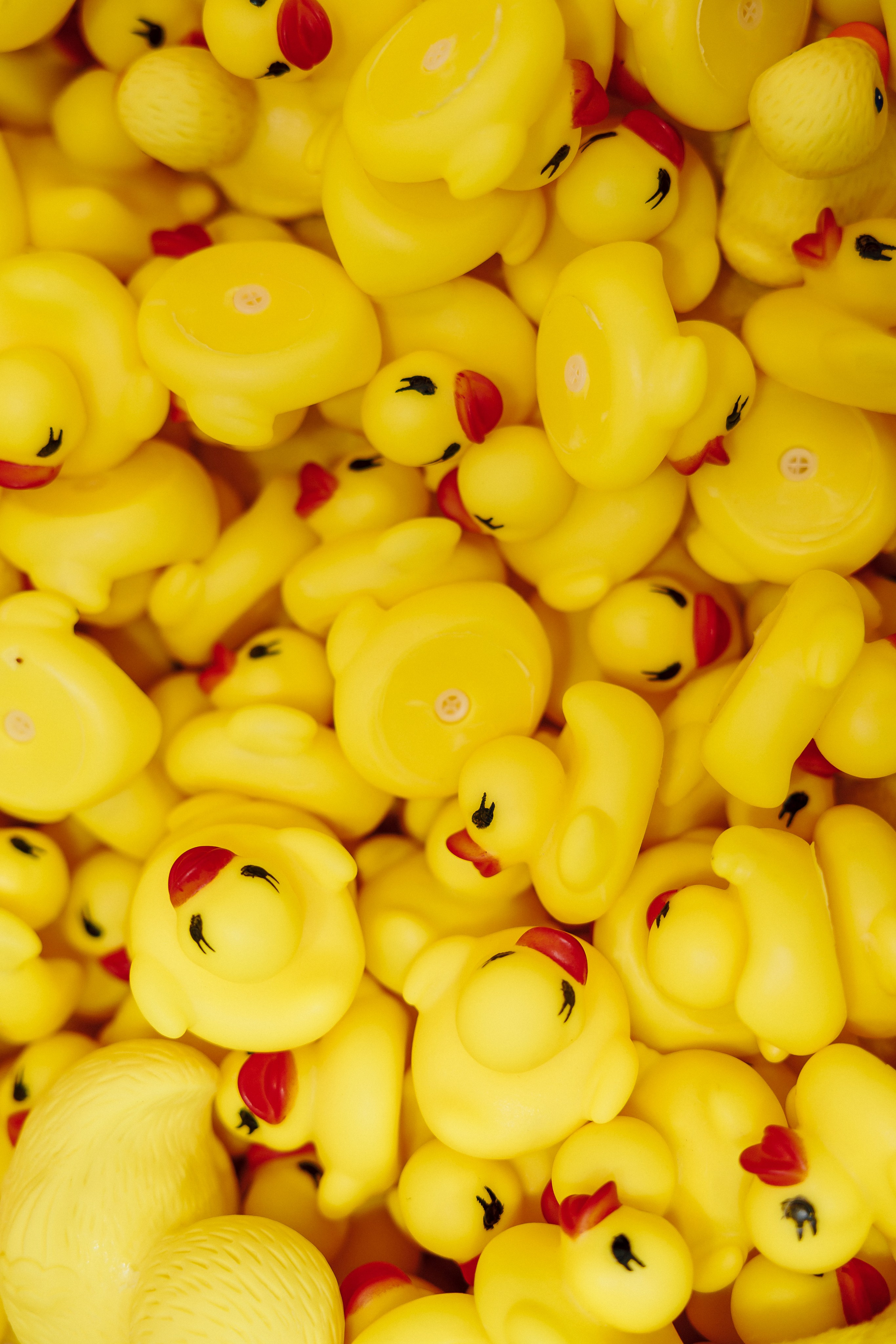 СКБ Контур — Форум будущего — Стенд. Лёшка Варзегов — фотограф