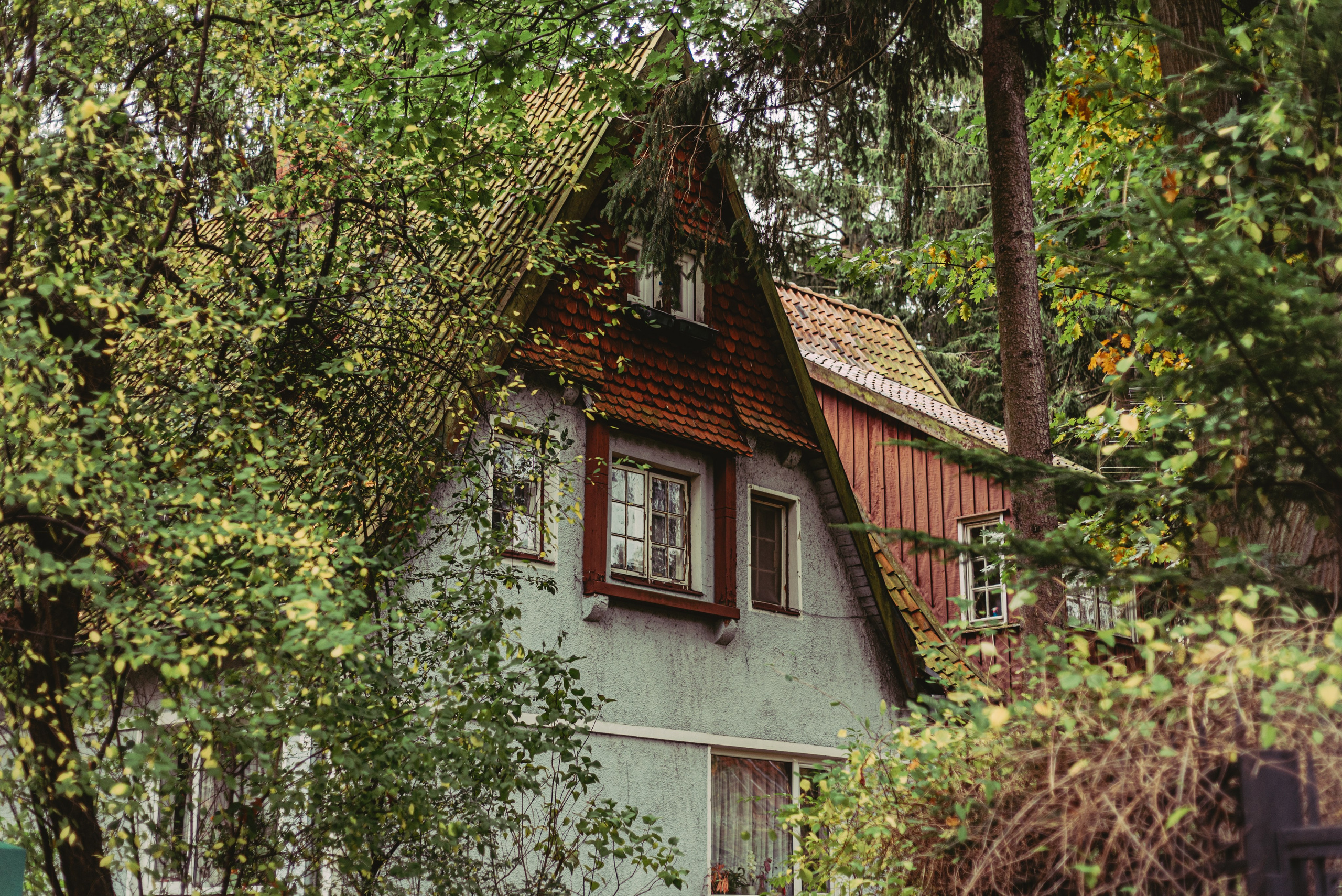 Калининград и его область: через объектив рекламного фотографа из Гуанчжо. Коммерческий и предметный фотограф в Гуанчжоу Коваленко Александр