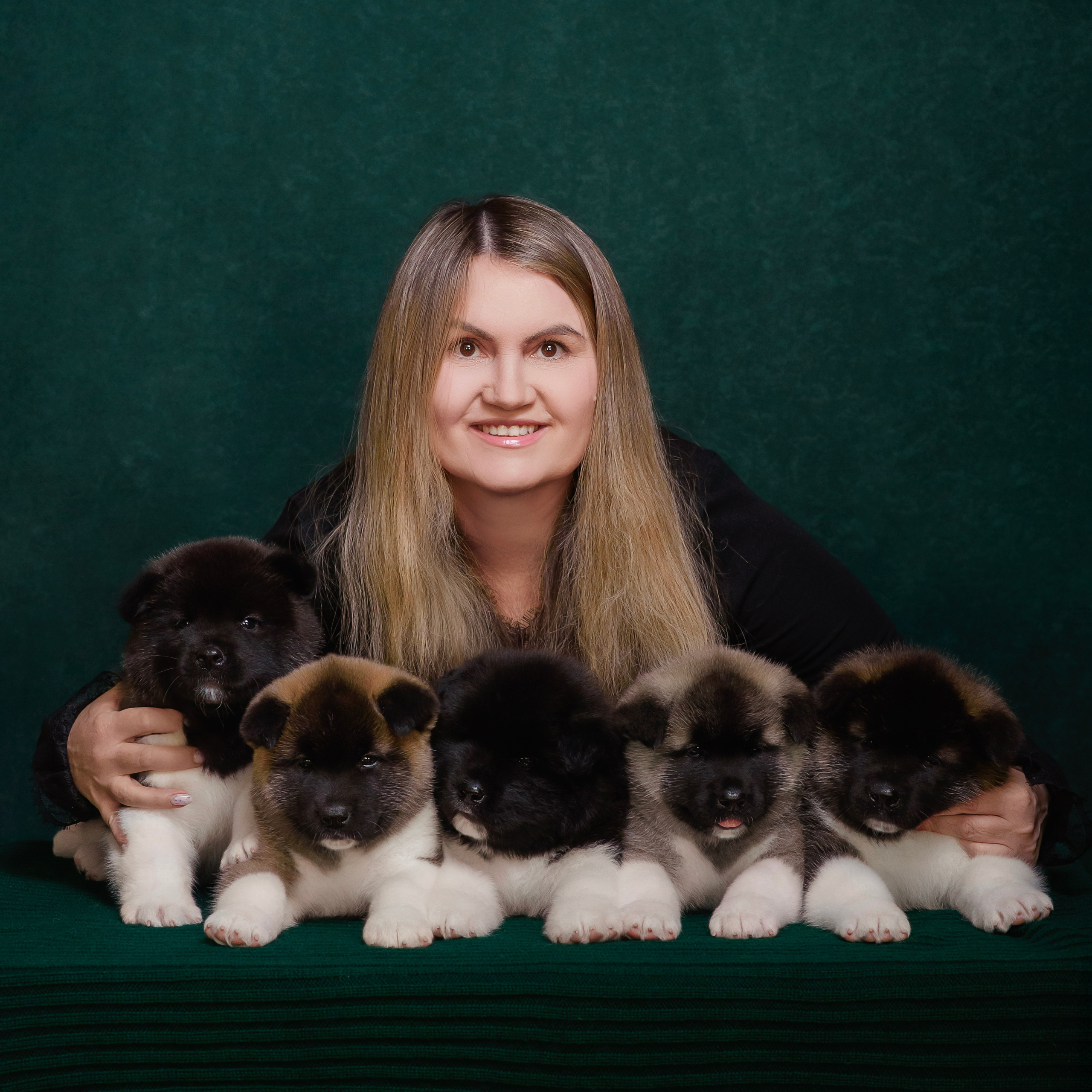 Щенки Американской Акиты. Фотограф — Анималист | Анна Абрамова