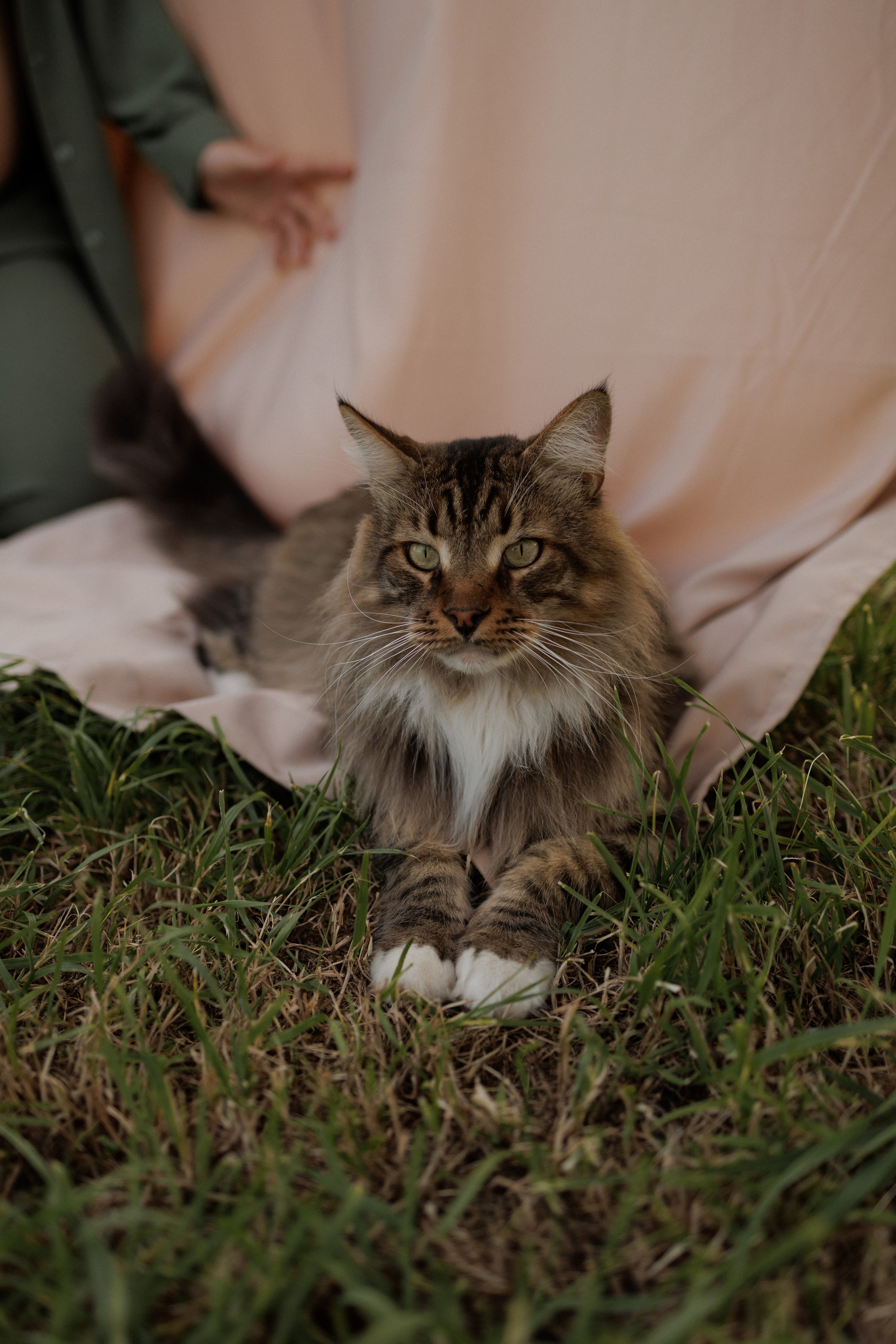 На закате одного прекрасного вечера. Фотограф Софья Гречка