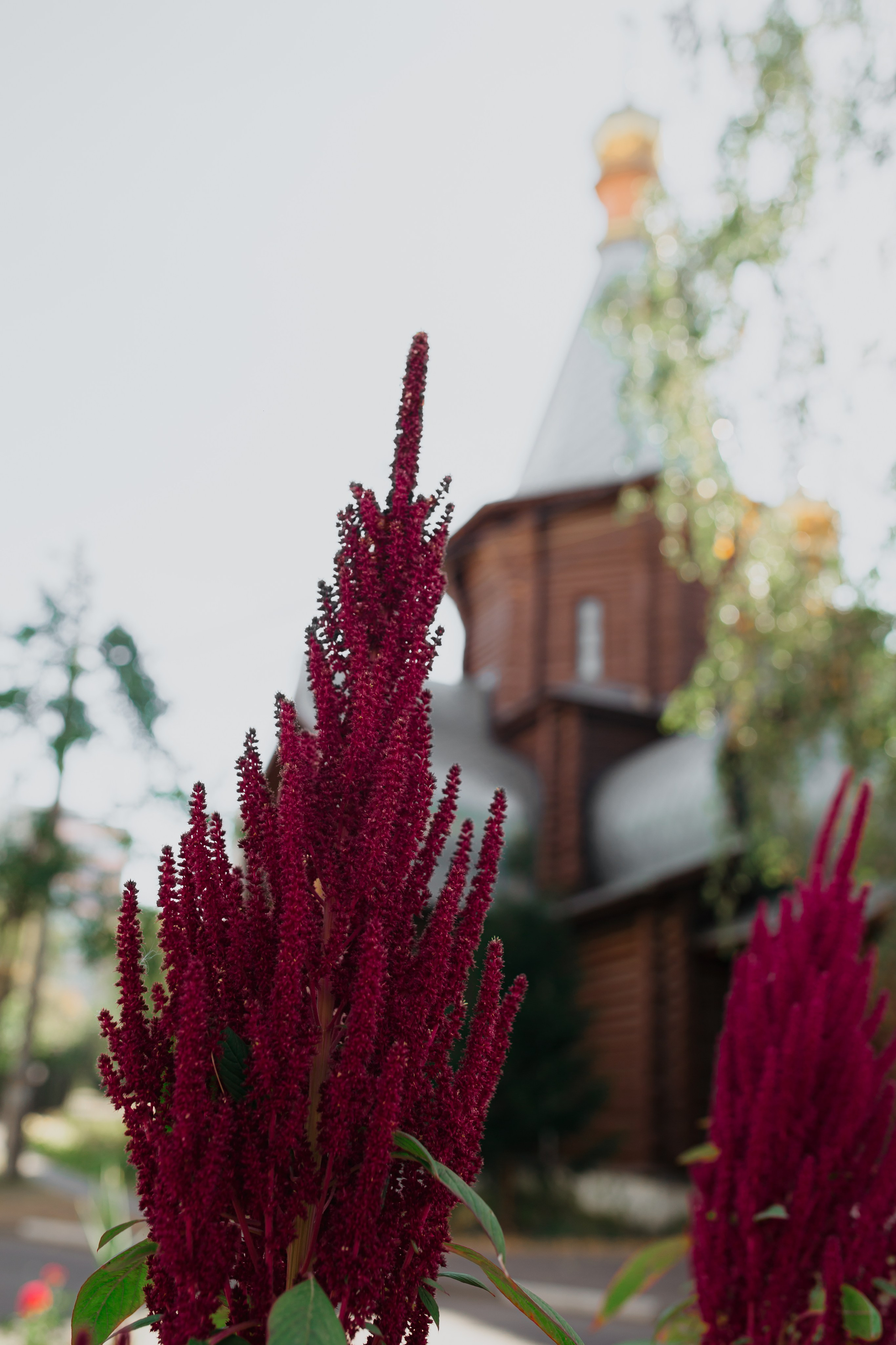 Церковь Иверской иконы Божией Матери г. Жуковский. Свадебный и семейный фотограф