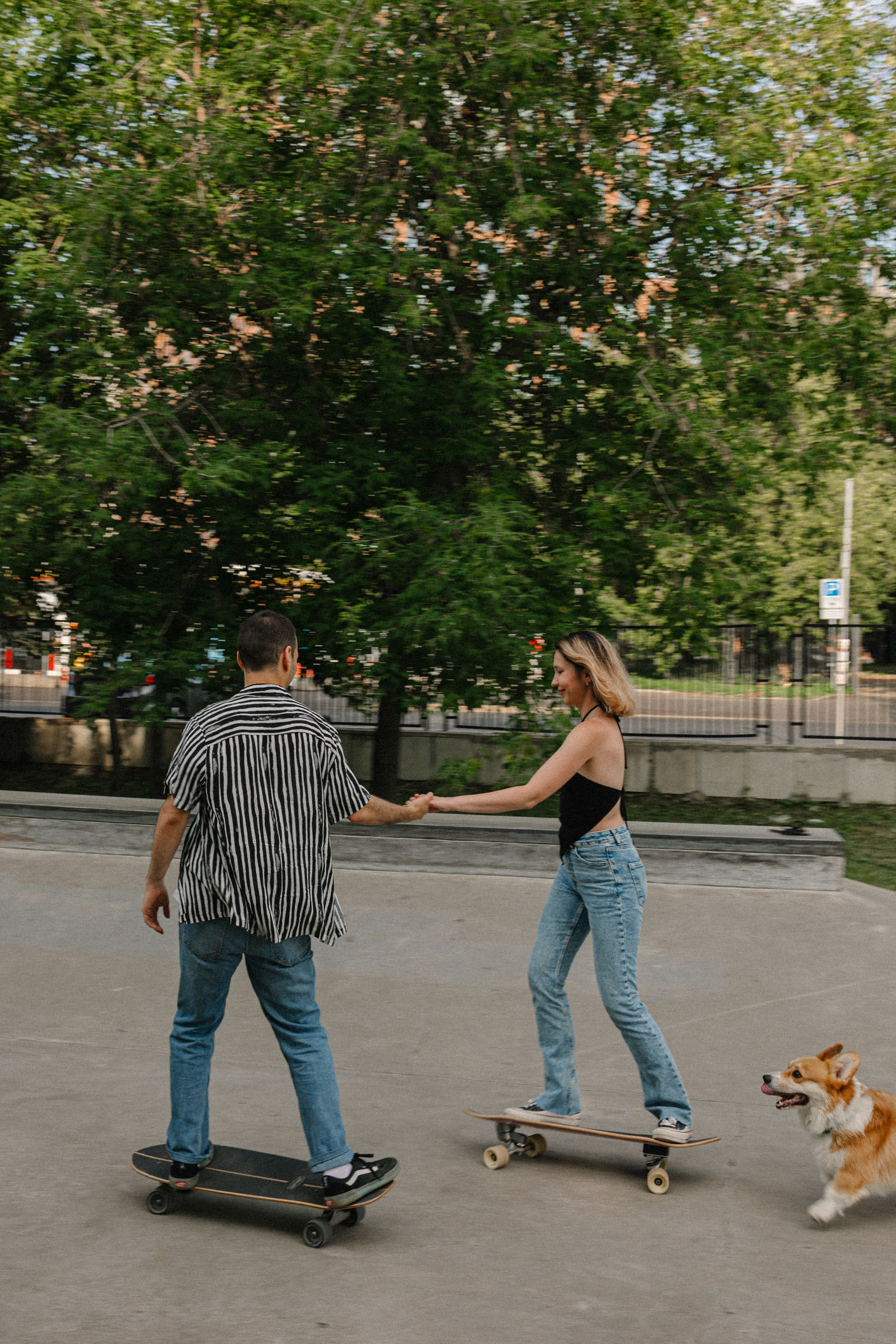 Брюс, Вейв и их ро. Фотораф — анималист Мария Шистка