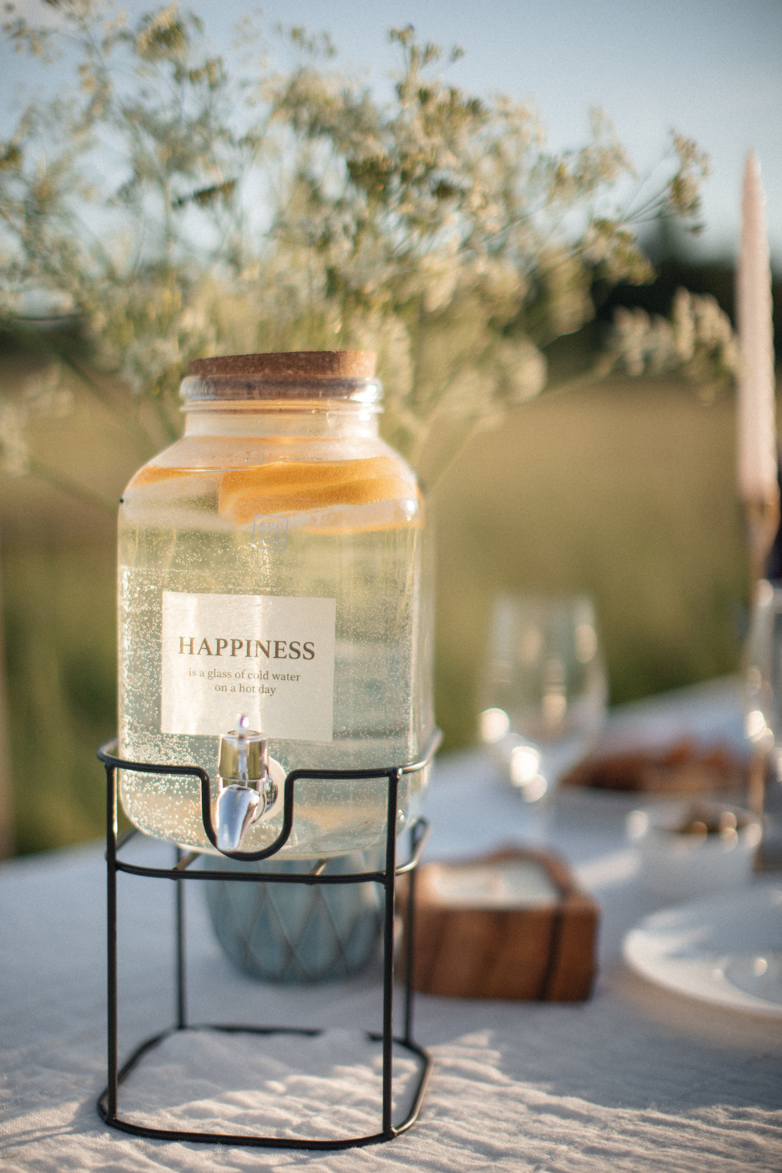 Мероприятия. Честный семейный фотограф