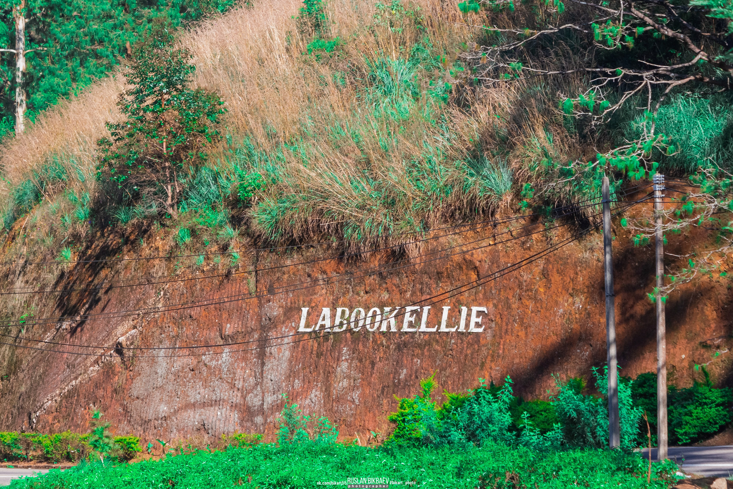 ШРИ-ЛАНКА 2025 / SRI LANKA 2025. Главная