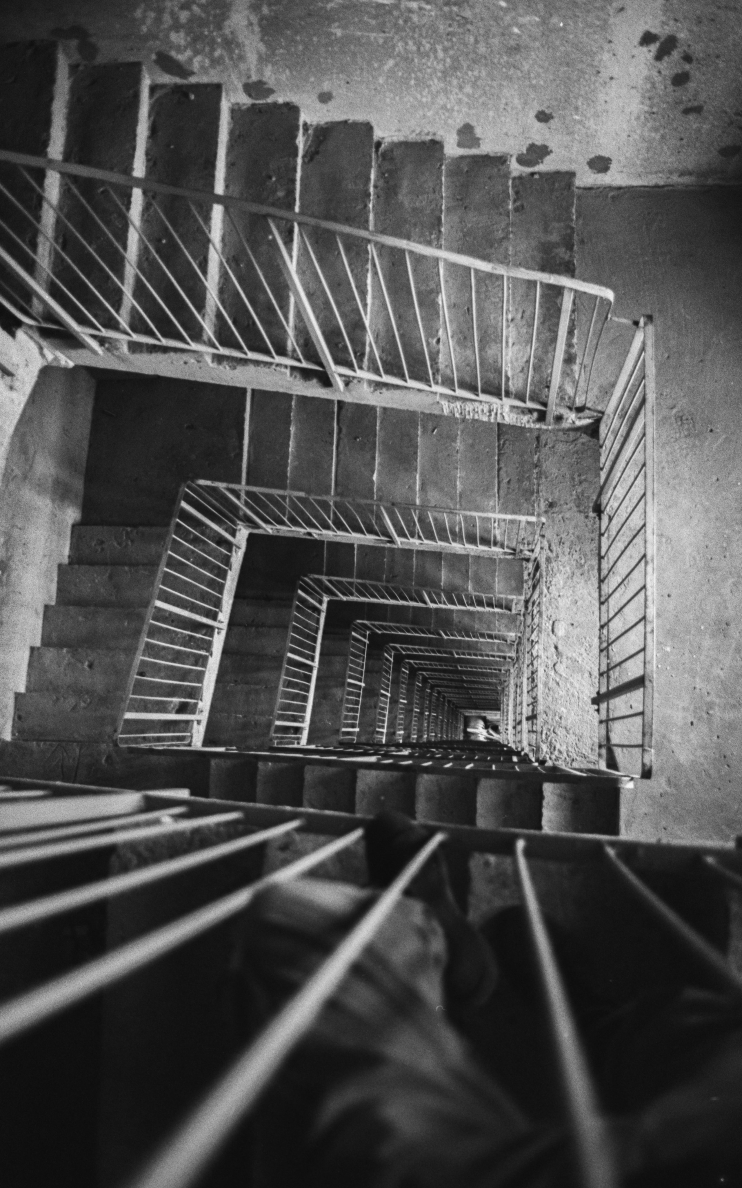 Пленочная история. Дмитрий Пропадалин, Нейрофотография